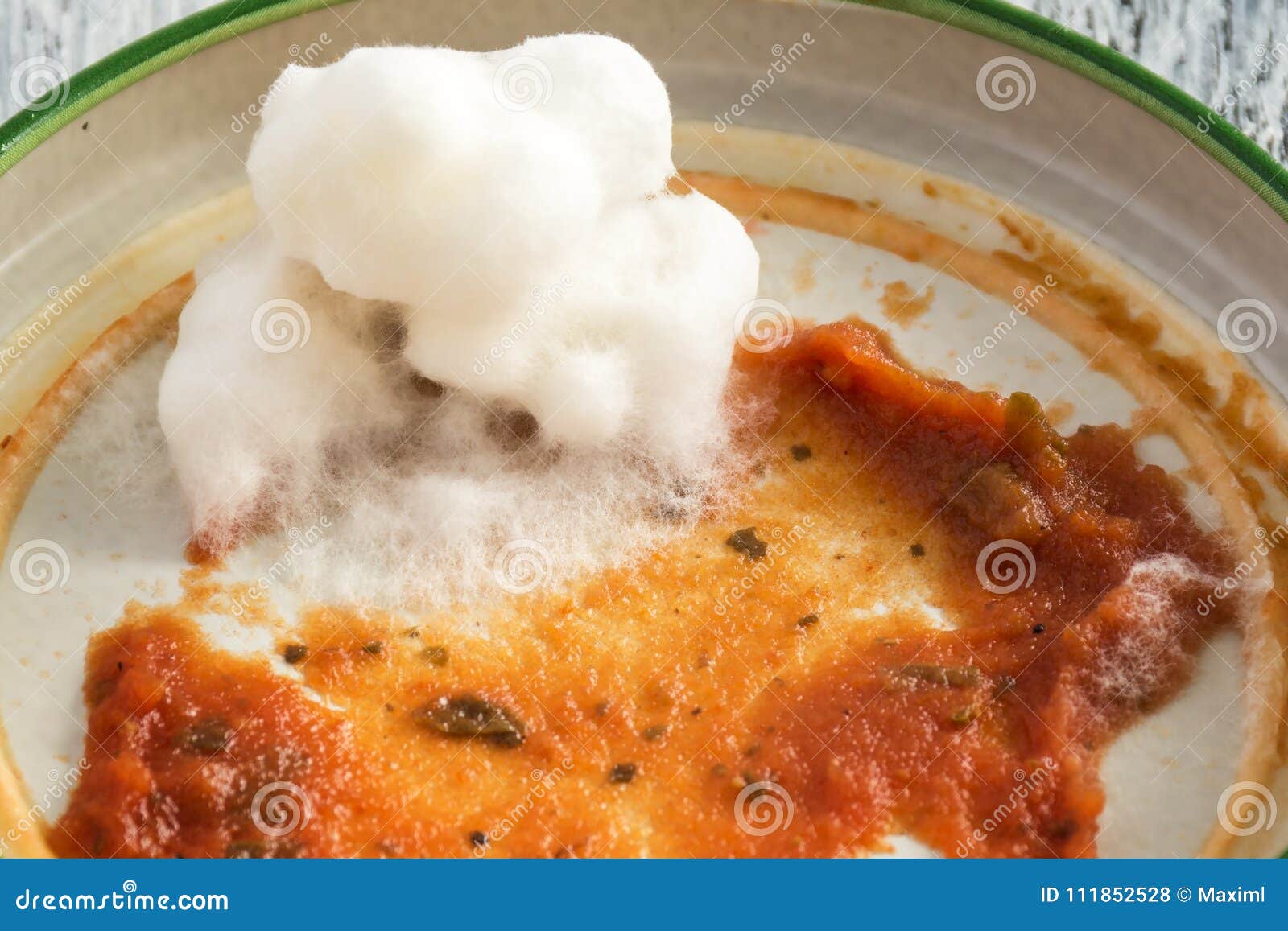 Tomato Paste with White Mold Stock Photo Image of fungal, grow 111852528