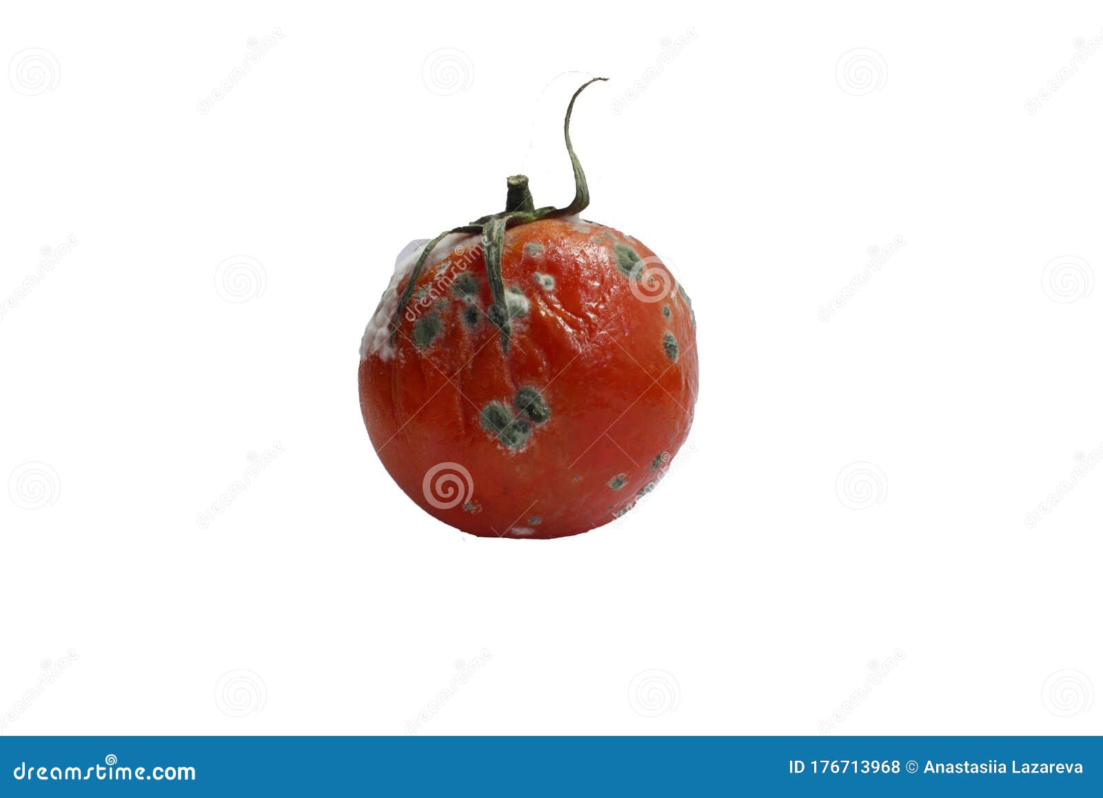 Tomato Is Red Spoiled On A White Background Spoiled Tomato Rotten Tomato Copy Space Isolated Stock Photo Image Of Mildew Storage 176713968