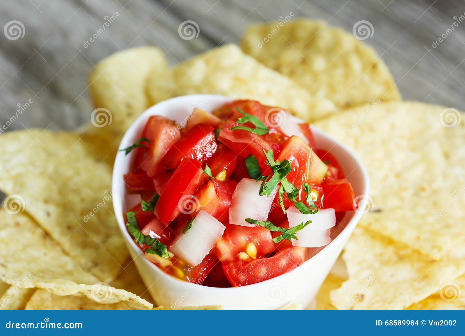 Tomato Salsa and Tortilla Chips Stock Photo Image of organic, cuisine