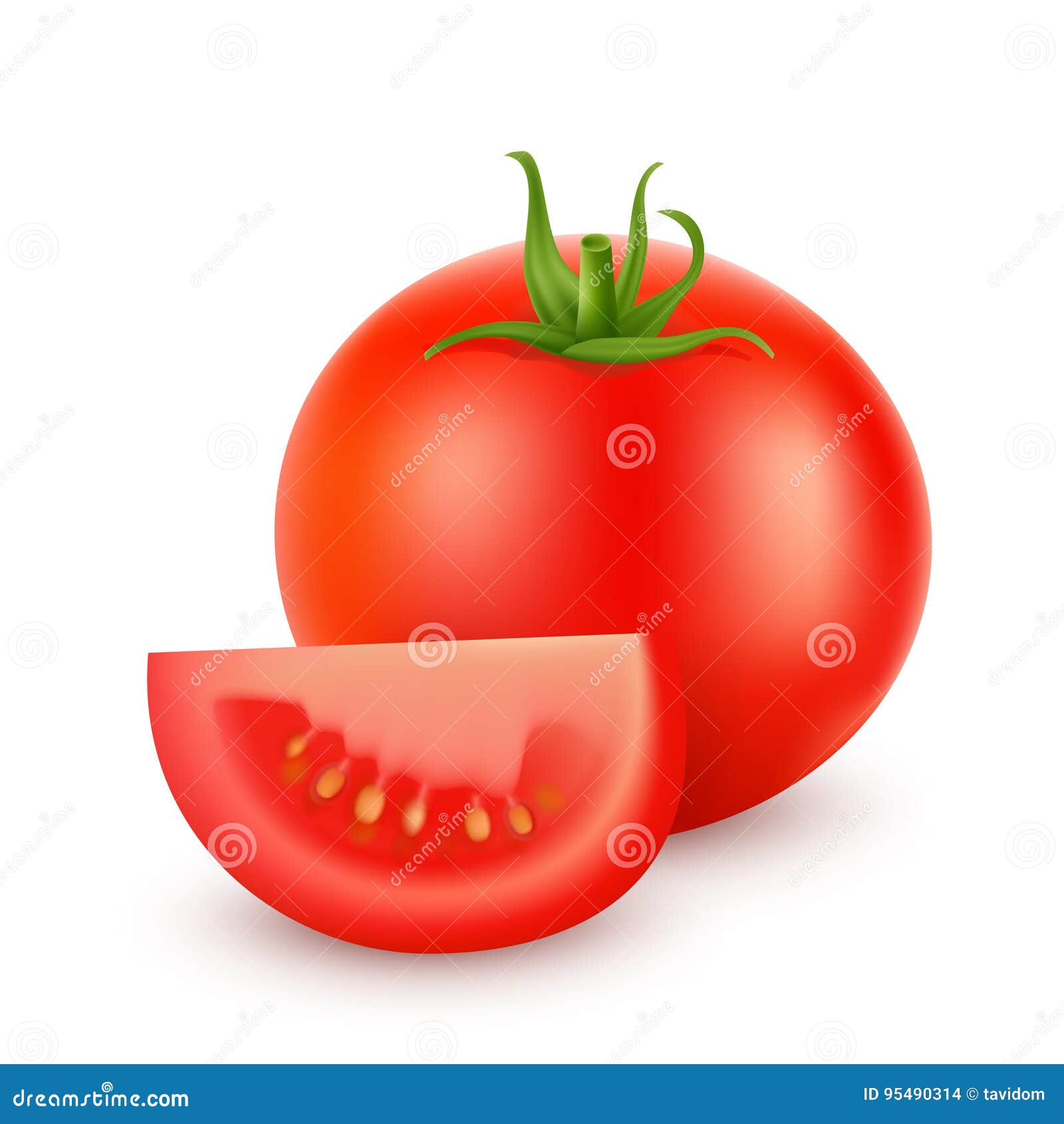 Tomato And Slice Isolated On White. Realistic Vector Illustration Stock