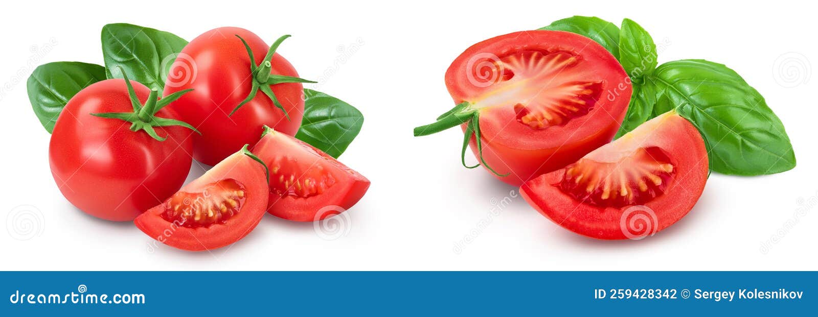 Tomato with Slices and Basil Leaf Isolated on White Background and Full