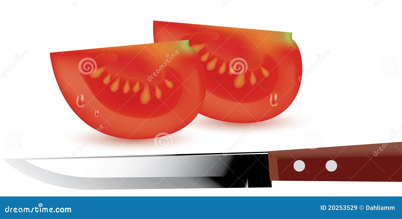 Tomato Slices and Kitchen Knife Stock Vector Illustration of metal