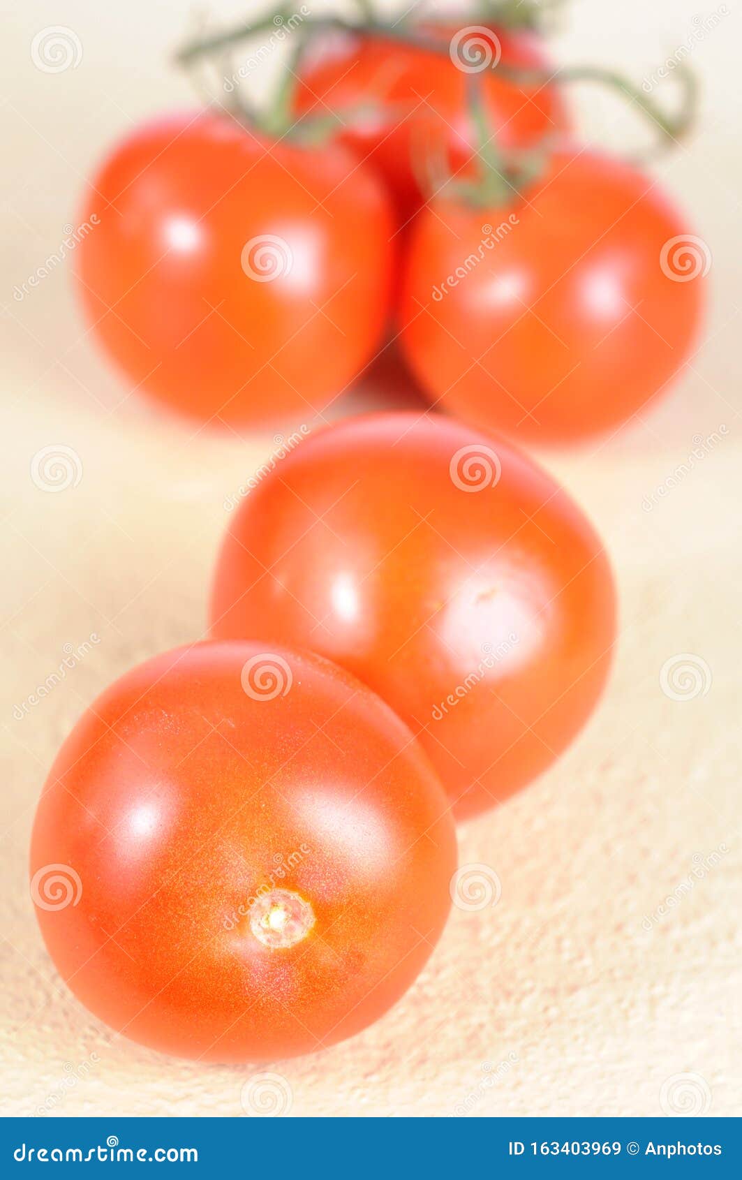 Tomato and vine stock image. Image of nutrition, vegetable 163403969