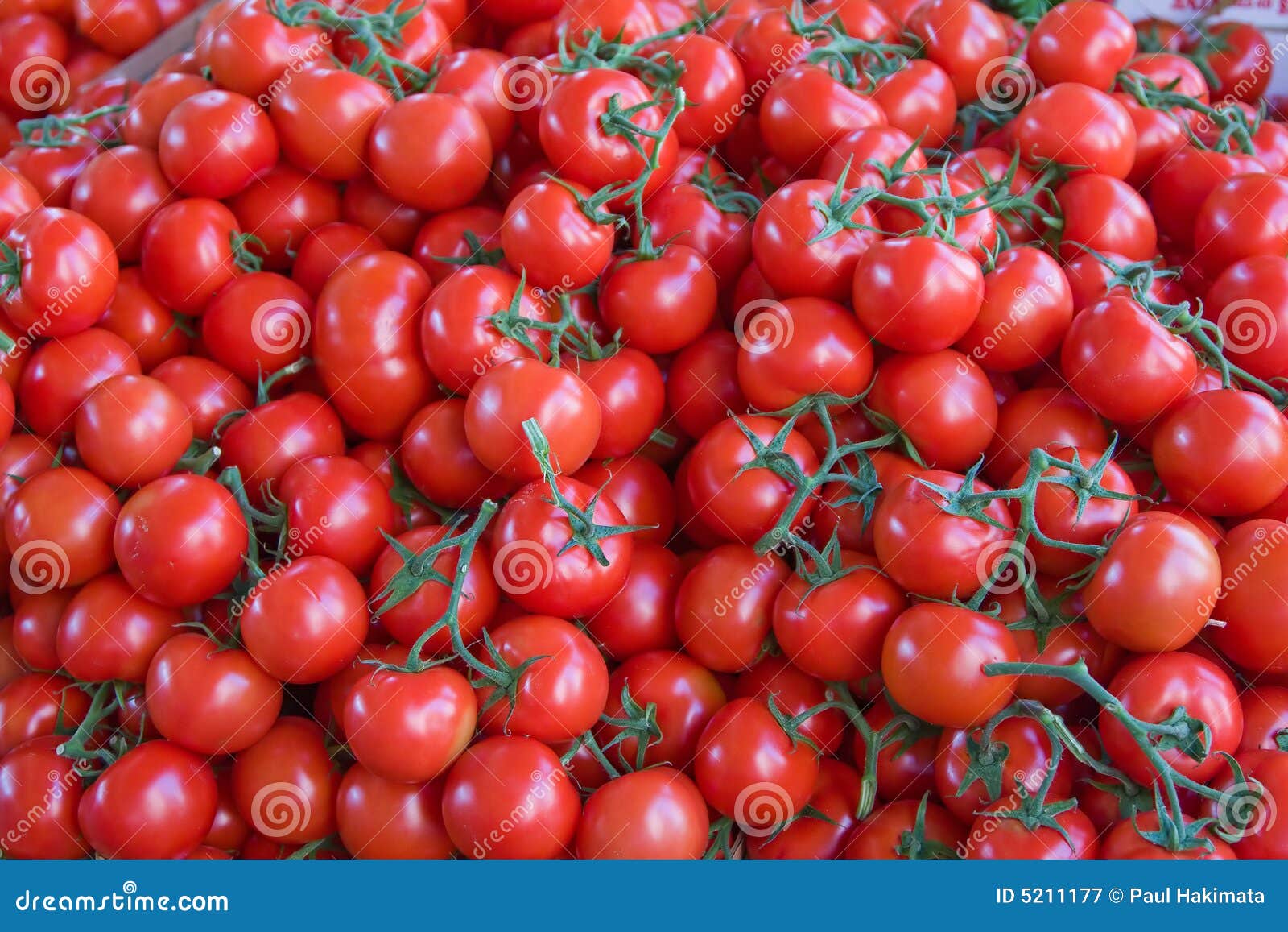 Tomatoes stock image. Image of fruits, nutritious, food - 5211177