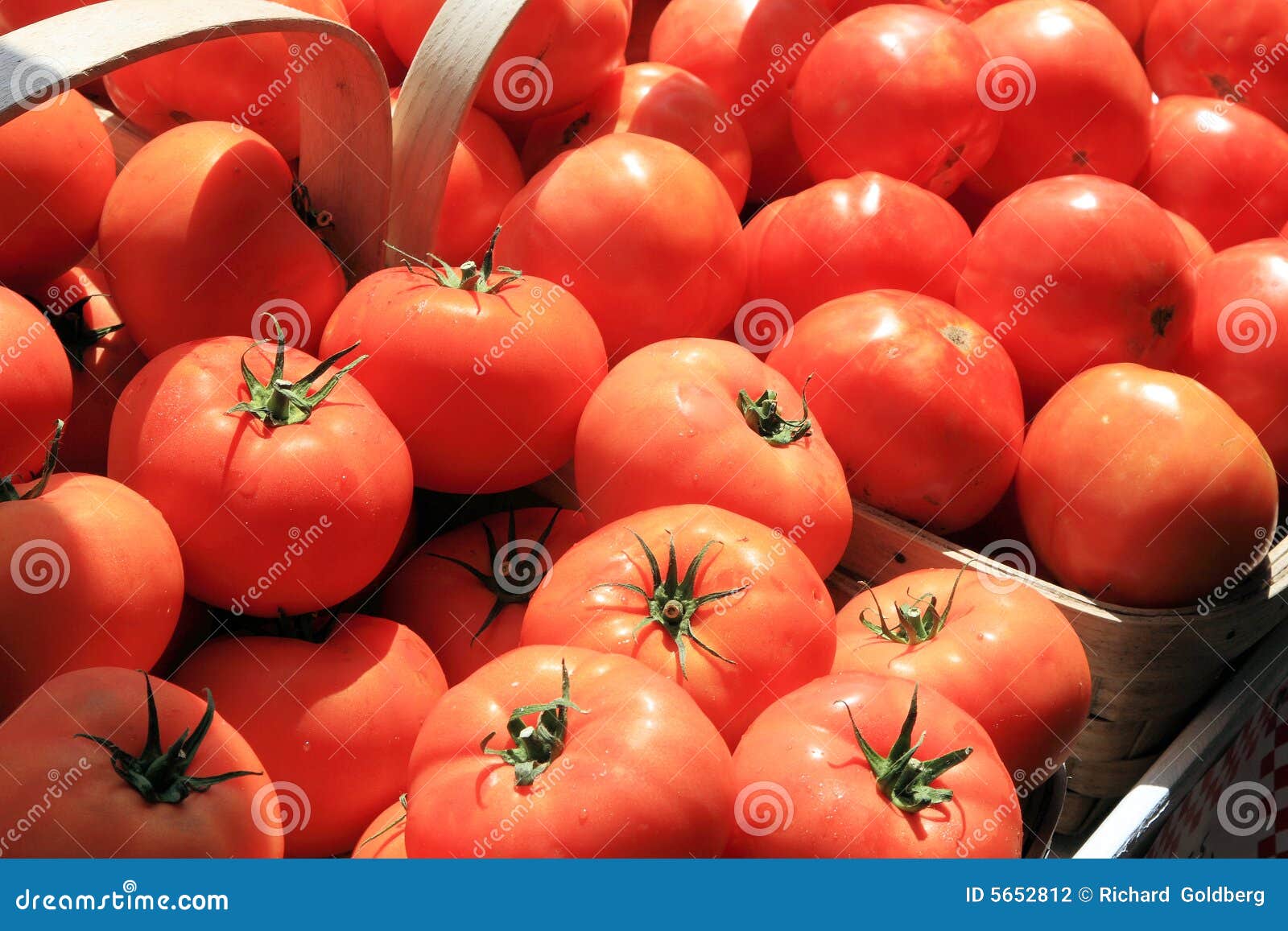 Tomatoes stock photo. Image of stand, ingredient, energy 5652812