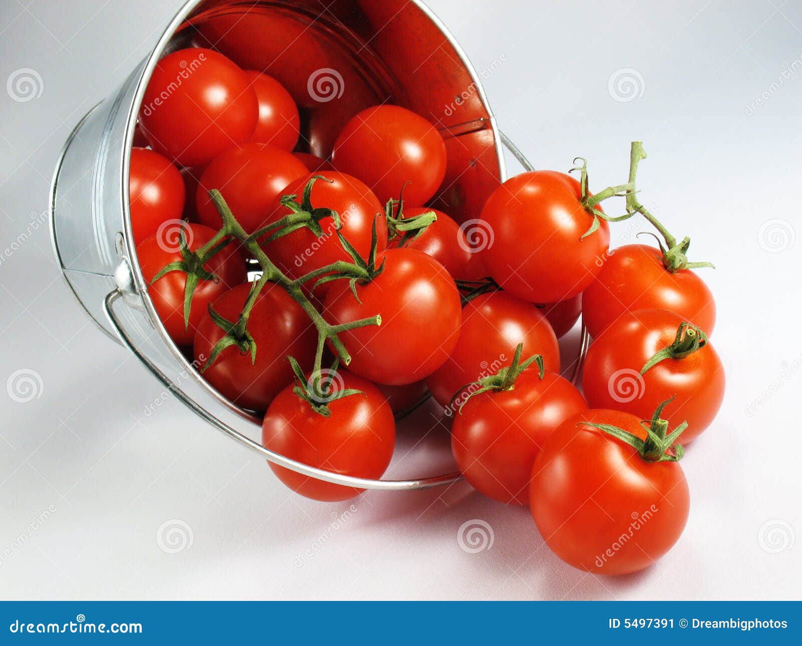 Tomatoes in a Bucket stock image. Image of tomato, tomatoes 5497391
