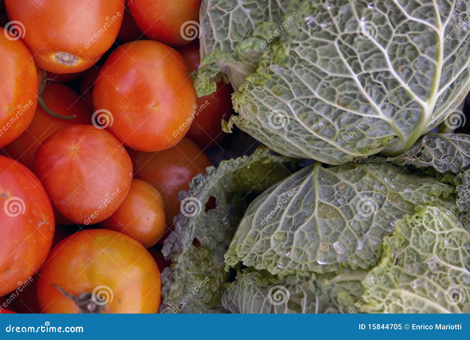 Tomatoes and cabbage stock image. Image of colours, vegetables 15844705