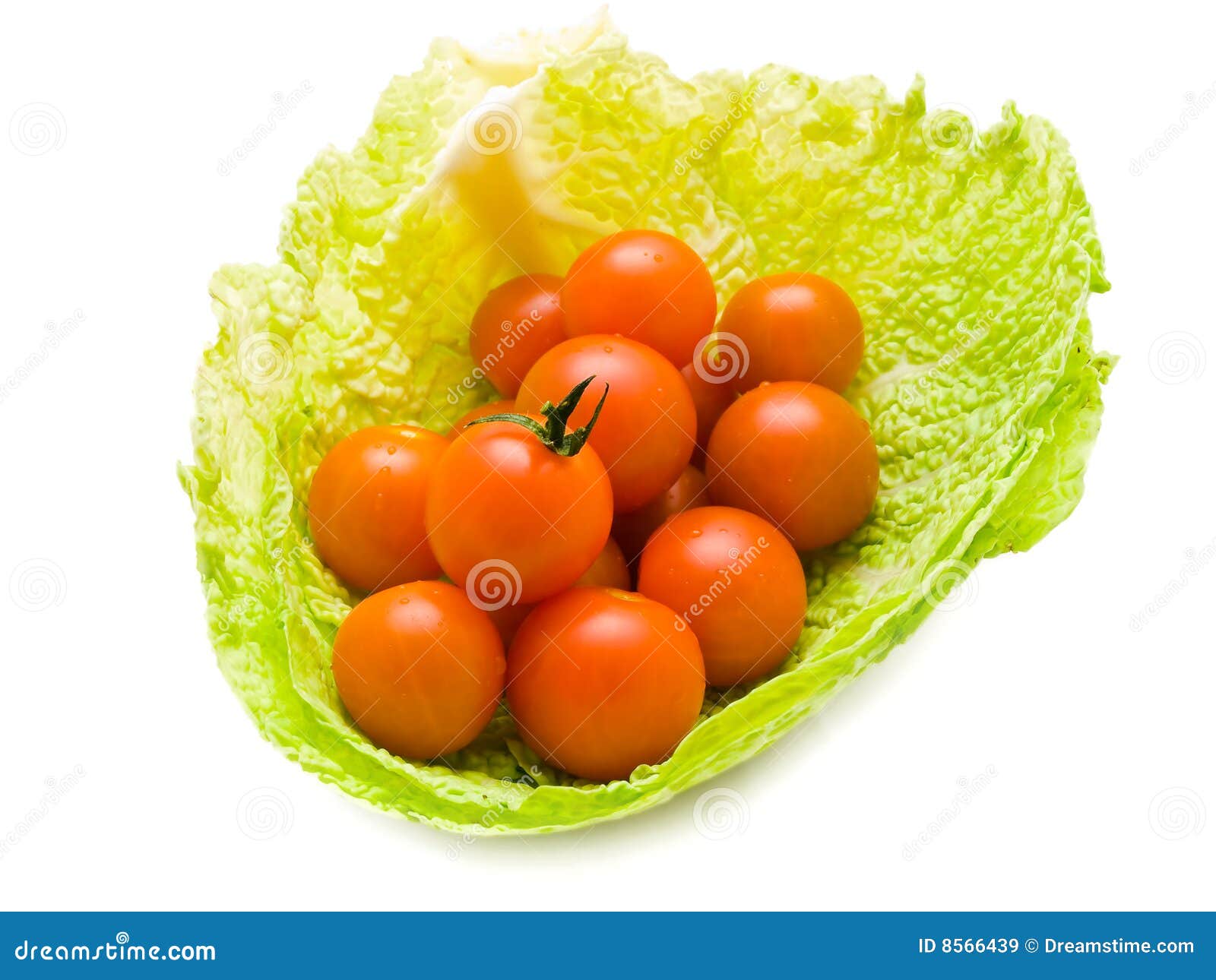 Tomatoes in cabbage stock image. Image of nutrition, foods 8566439