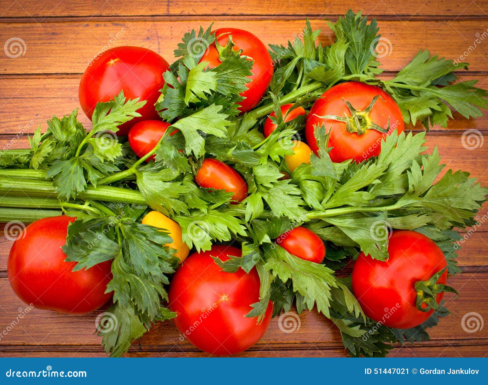 Tomatoes and Celery (celery Leaves) Stock Image Image of luscious