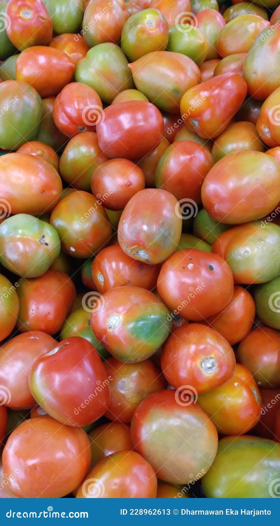 Tomatoes Contain Many Vitamins for the Body Stock Image Image of