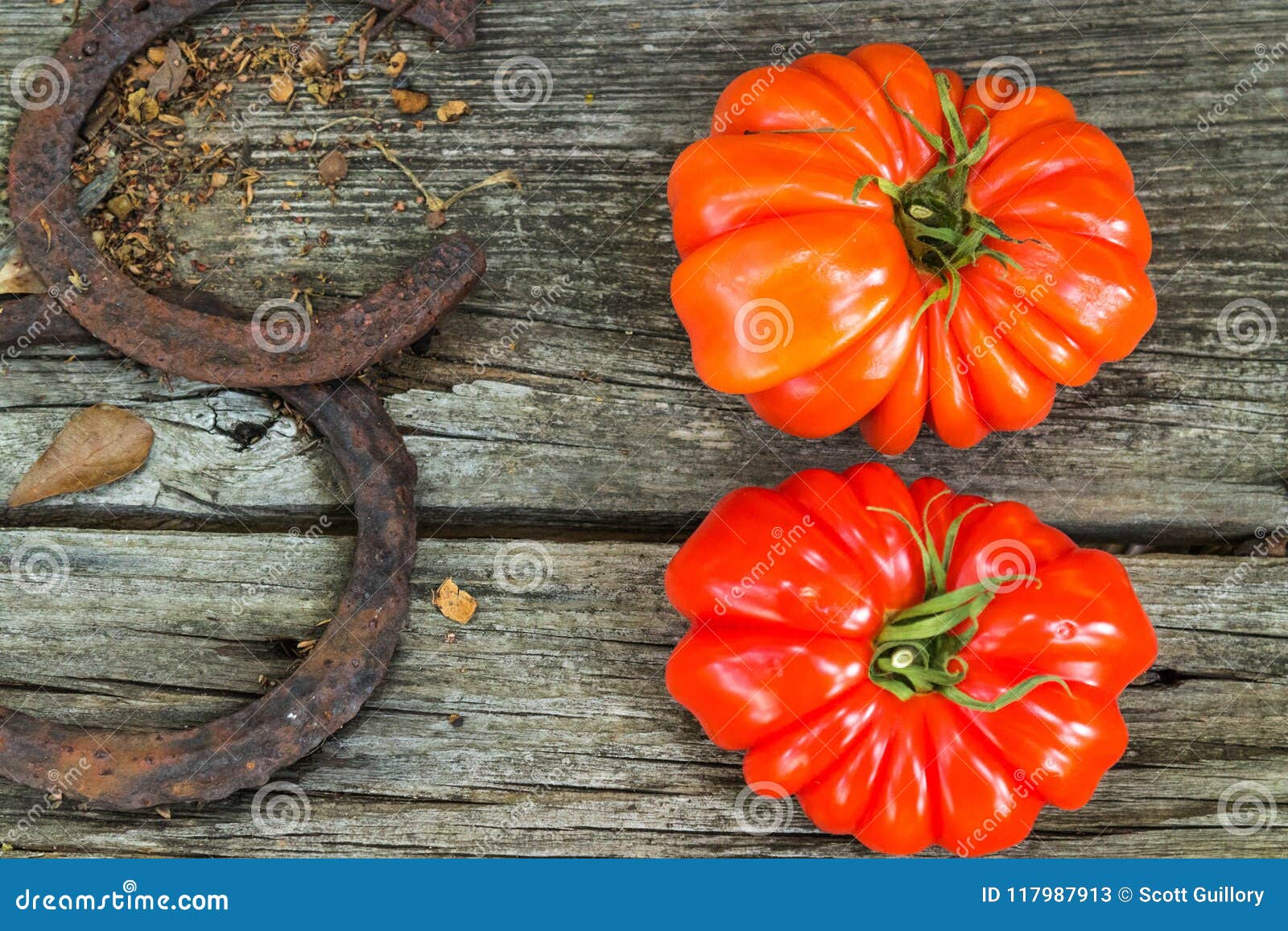 tomatoes on cypress wood south louisiana