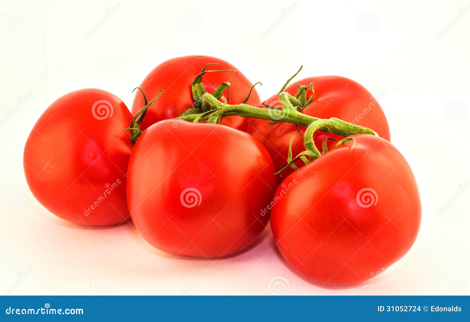 Tomatoes stock photo. Image of leaf, closeup, produce 31052724