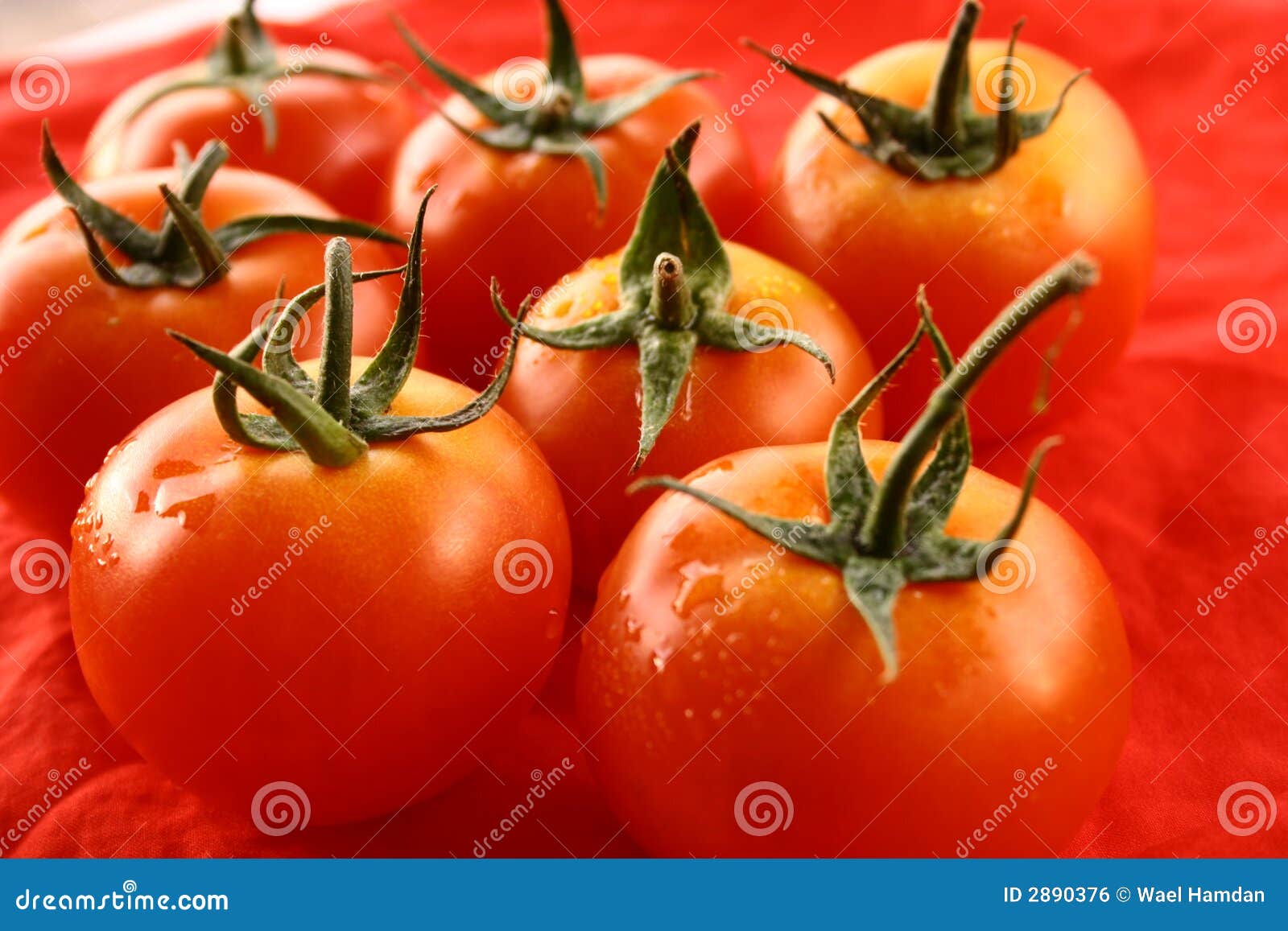 Tomatoes fruit stock photo. Image of lifestyle, deep, medicine 2890376
