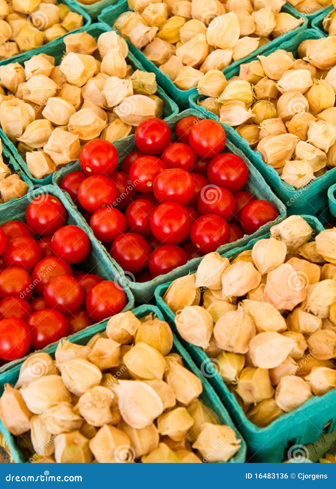 Tomatoes and Ground Cherries Stock Photo Image of diet, ripe 16483136