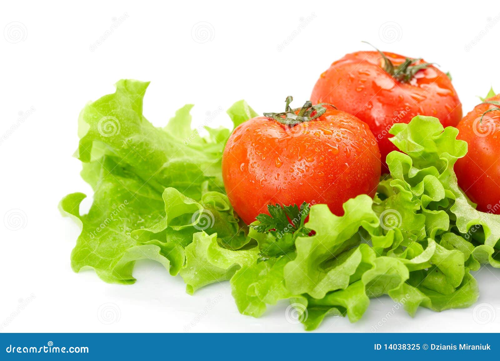 Tomatoes and lettuce stock image. Image of isolated, fresh 14038325