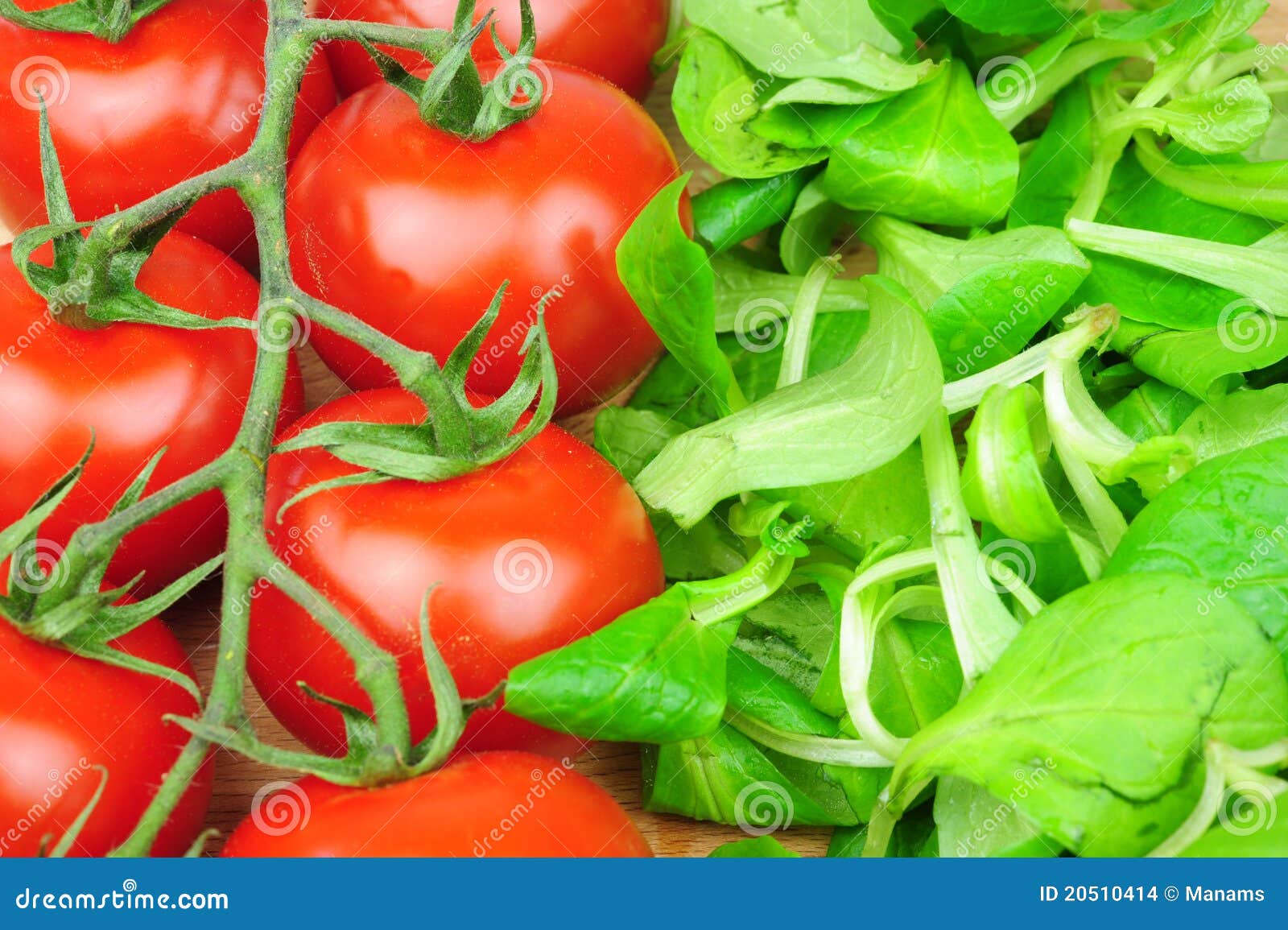 Tomatoes and lettuce stock photo. Image of healthy, objects 20510414