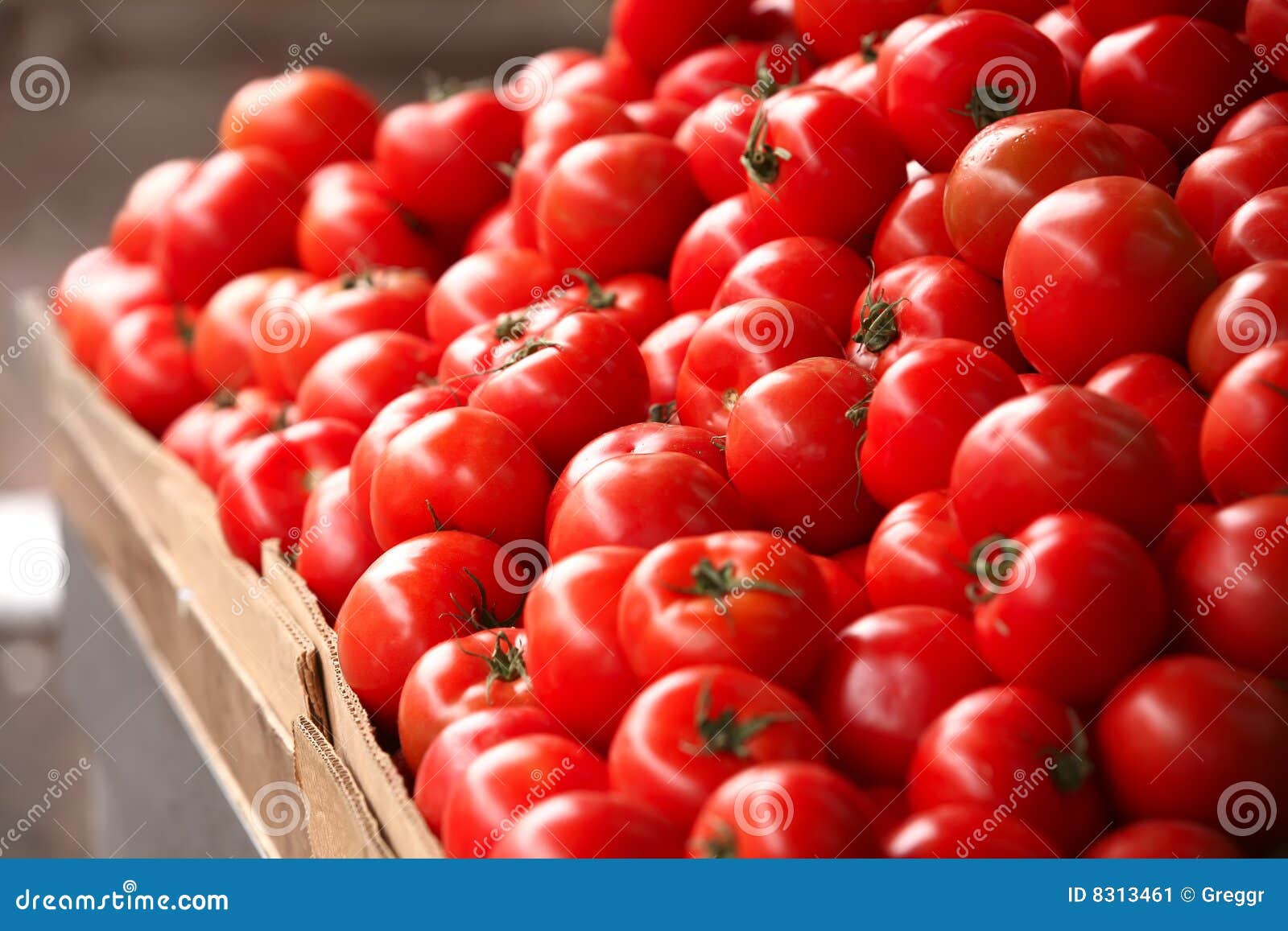 Tomatoes on market stock image. Image of organic, refreshment - 8313461