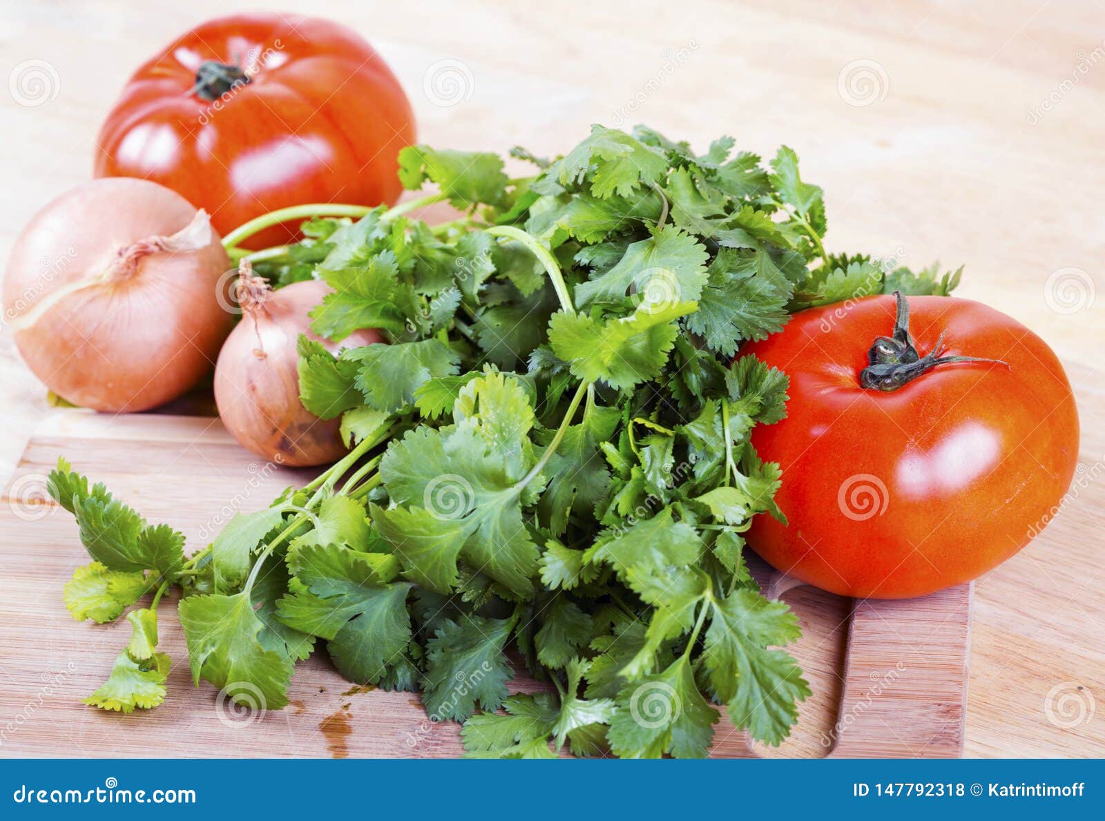 Tomatoes, Onion and Cilantro Stock Photo Image of onion, vegetable