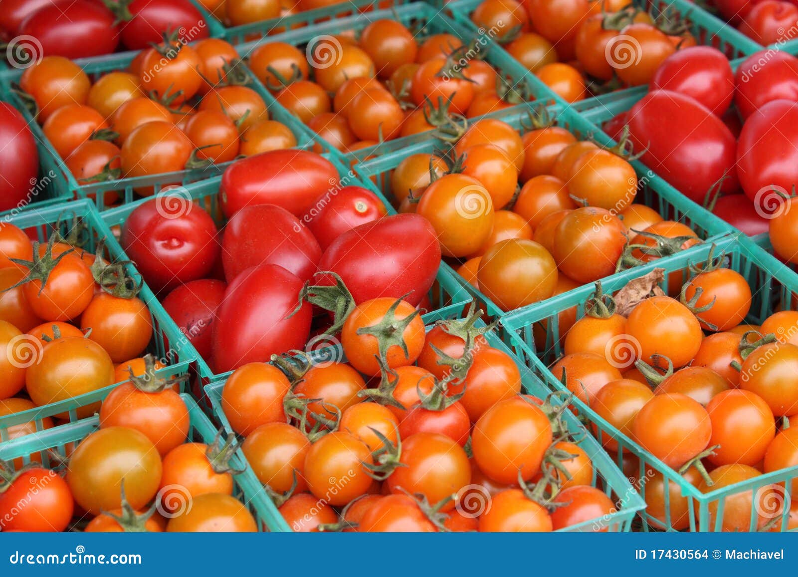 Tomatoes, orange and red stock photo. Image of natural - 17430564