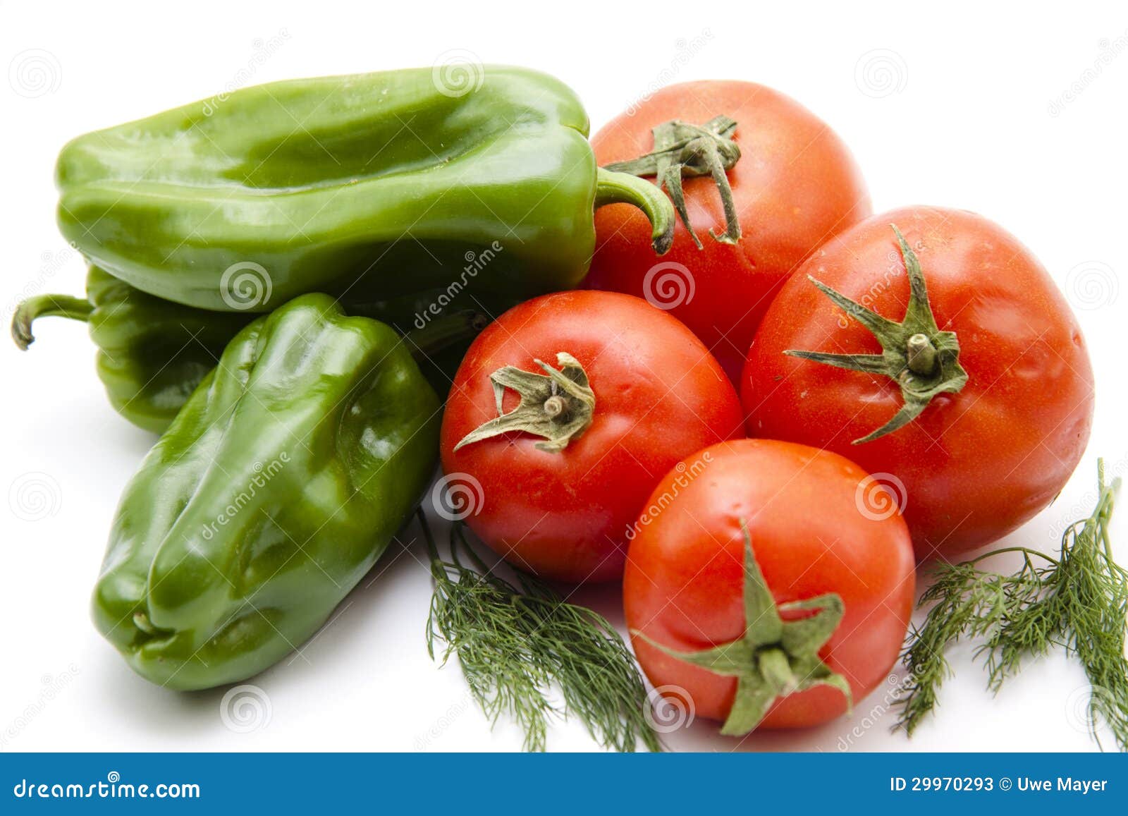 Tomatoes with Paprika and Dill Stock Image Image of form, healthy