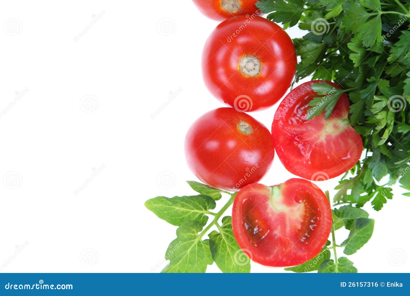 Tomatoes and parsley stock photo. Image of preparing 26157316