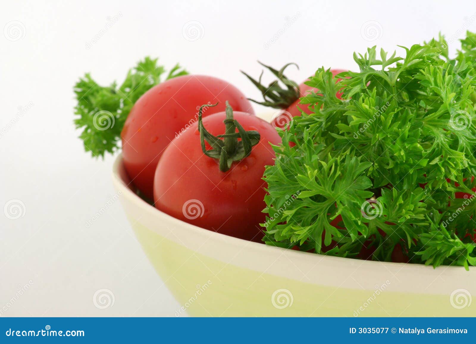 Tomatoes with parsley stock image. Image of garden, herb 3035077