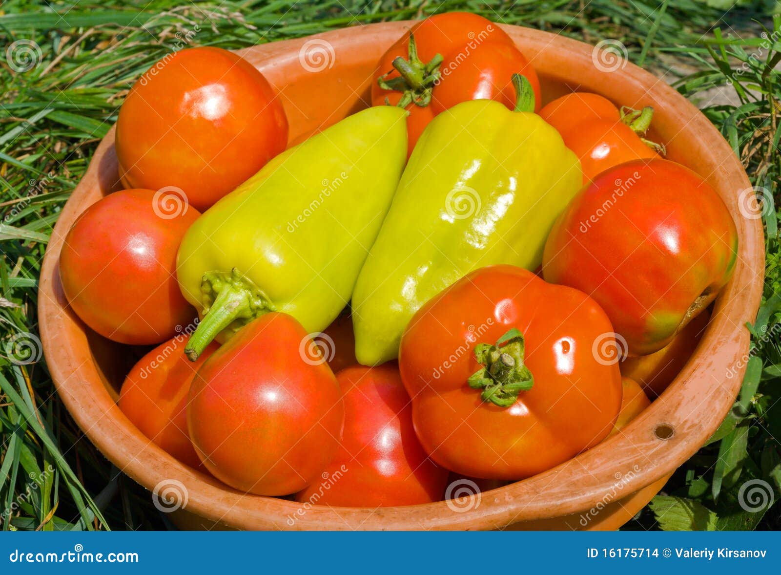 Tomatoes and peppers 5 stock photo. Image of tomato, harvest 16175714