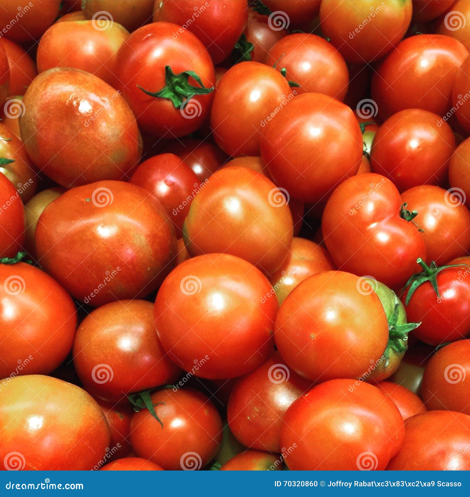 Tomatoes stock photo. Image of rouge, tomates, legumes 70320860