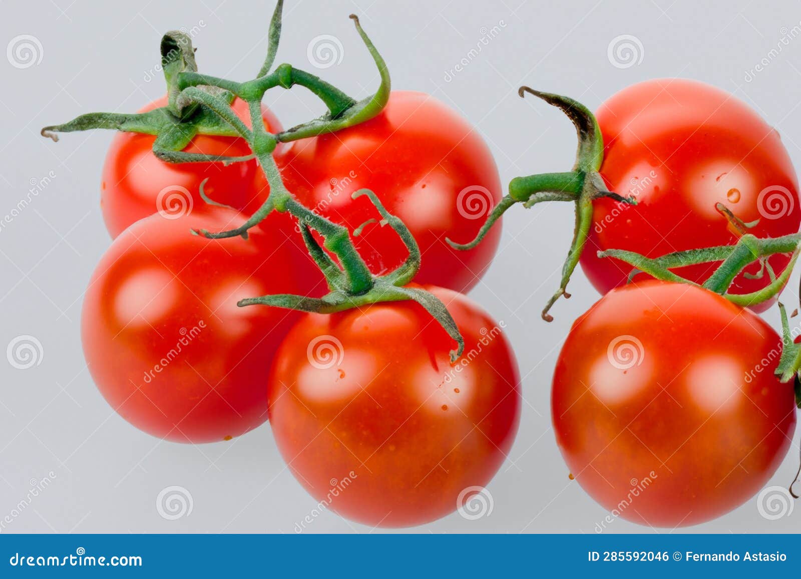 Tomatoes. Set of Tomatoes. Set of Cherry Tomatoes. Red and Green
