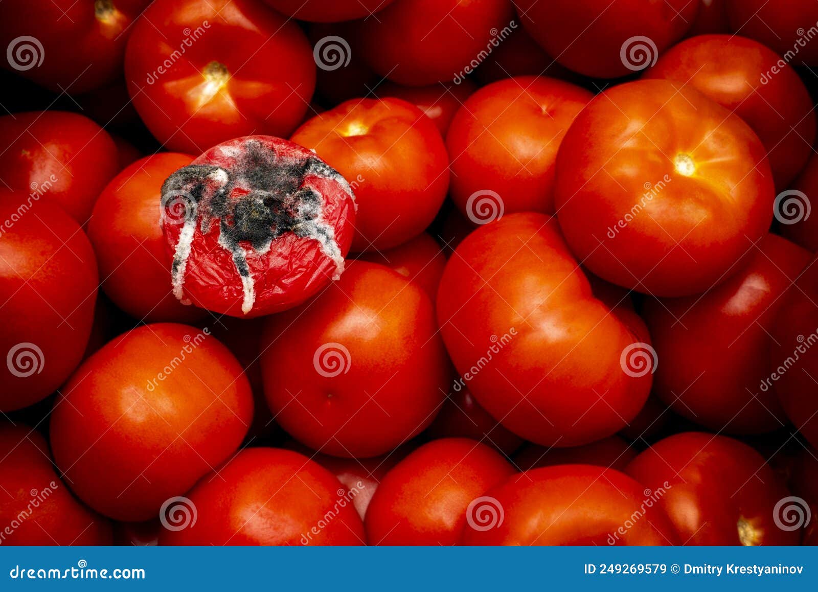 Tomatoes in store stock image. Image of market, good -