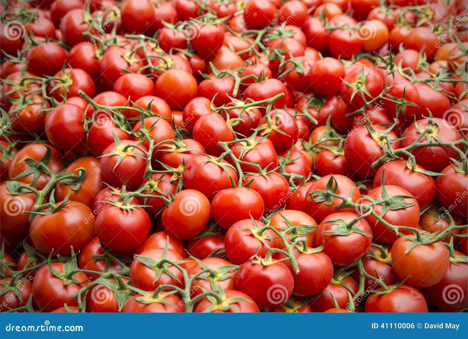 Tomatoes Street Market Provence Stock Photo - Image of tomato, taste ...