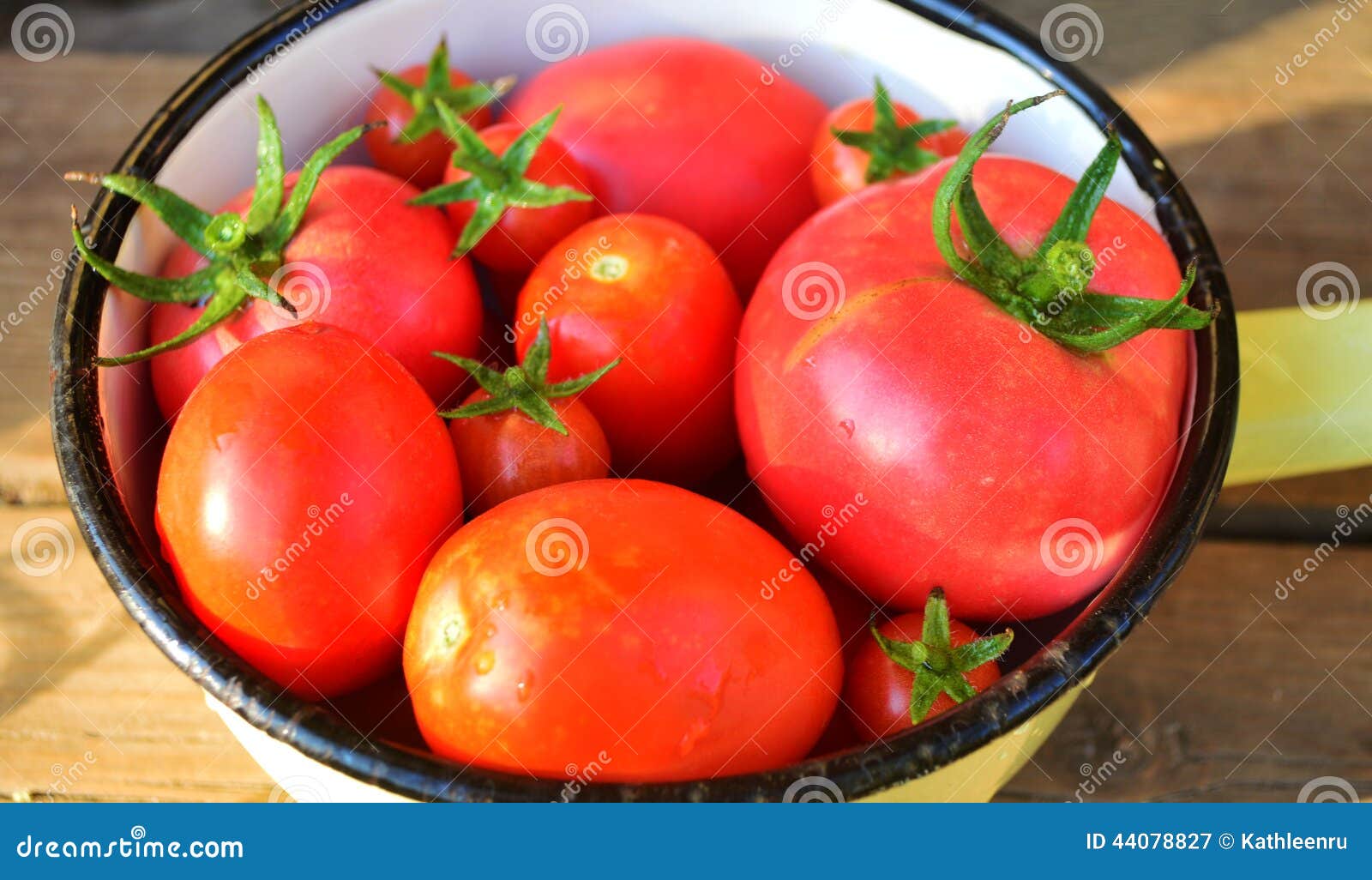 Tomatoes in a tin bowl stock image. Image of shiny, plump 44078827