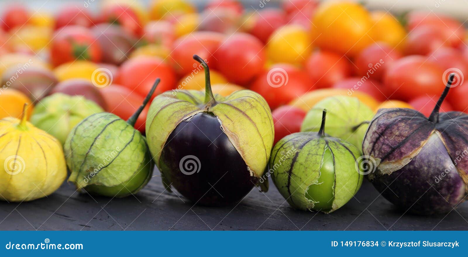 Tomatoes and tomatillo stock photo. Image of jamberry 149176834