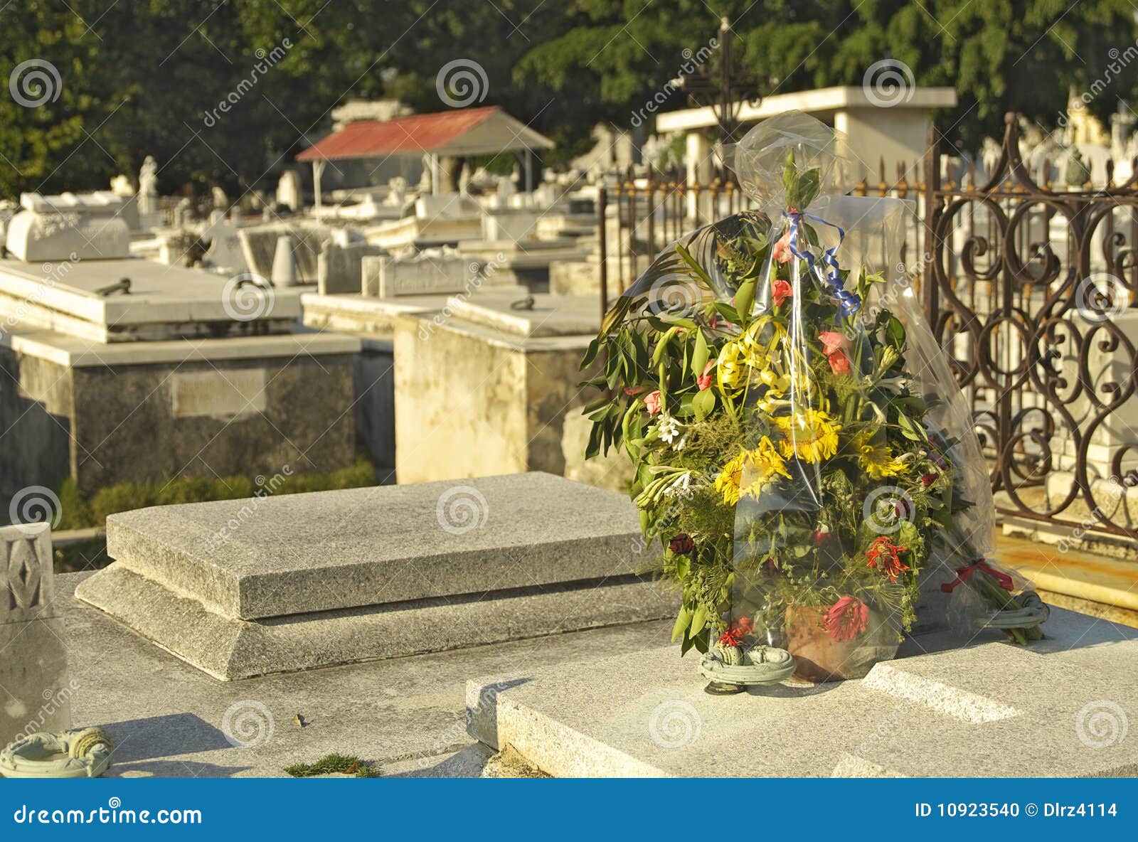 Tomb Flowers stock photo. Image of cemetery, quiet, tomb 10923540