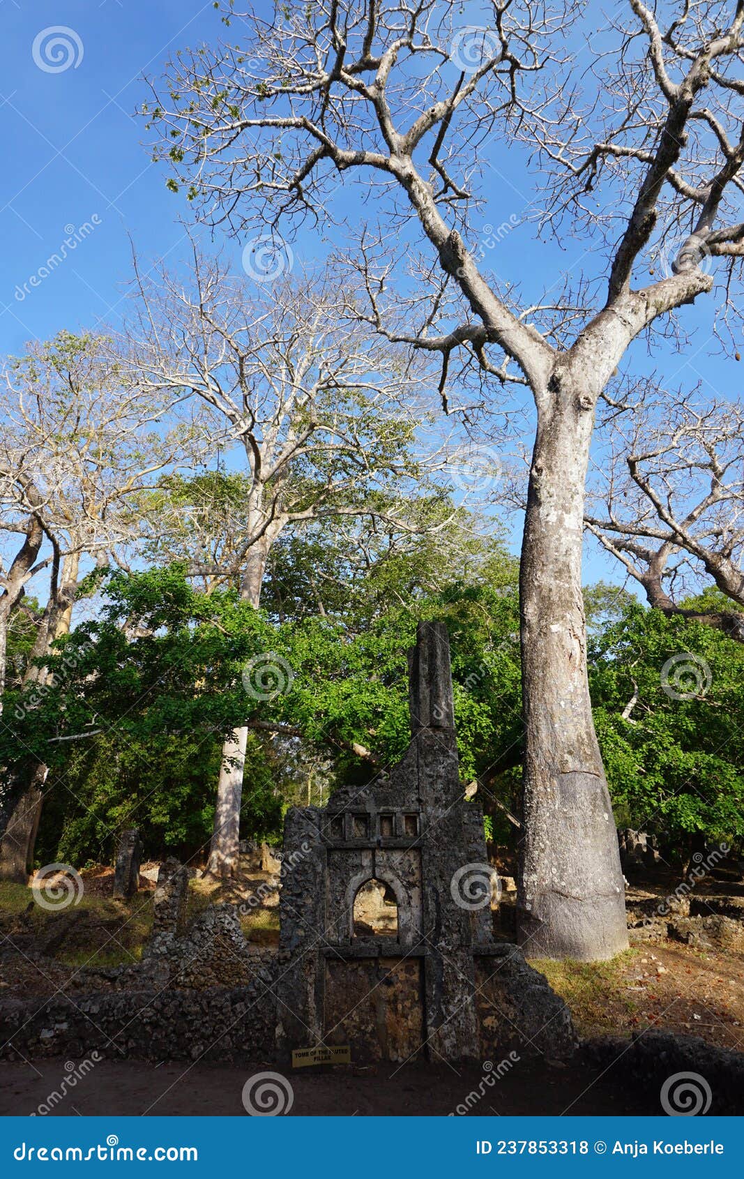 Fluted Pillar Gedi Gede Malindi Kenya Stock Image CartoonDealer fluted-pillar-gedi-gede-malindi-kenya-stock-image-cartoondealer