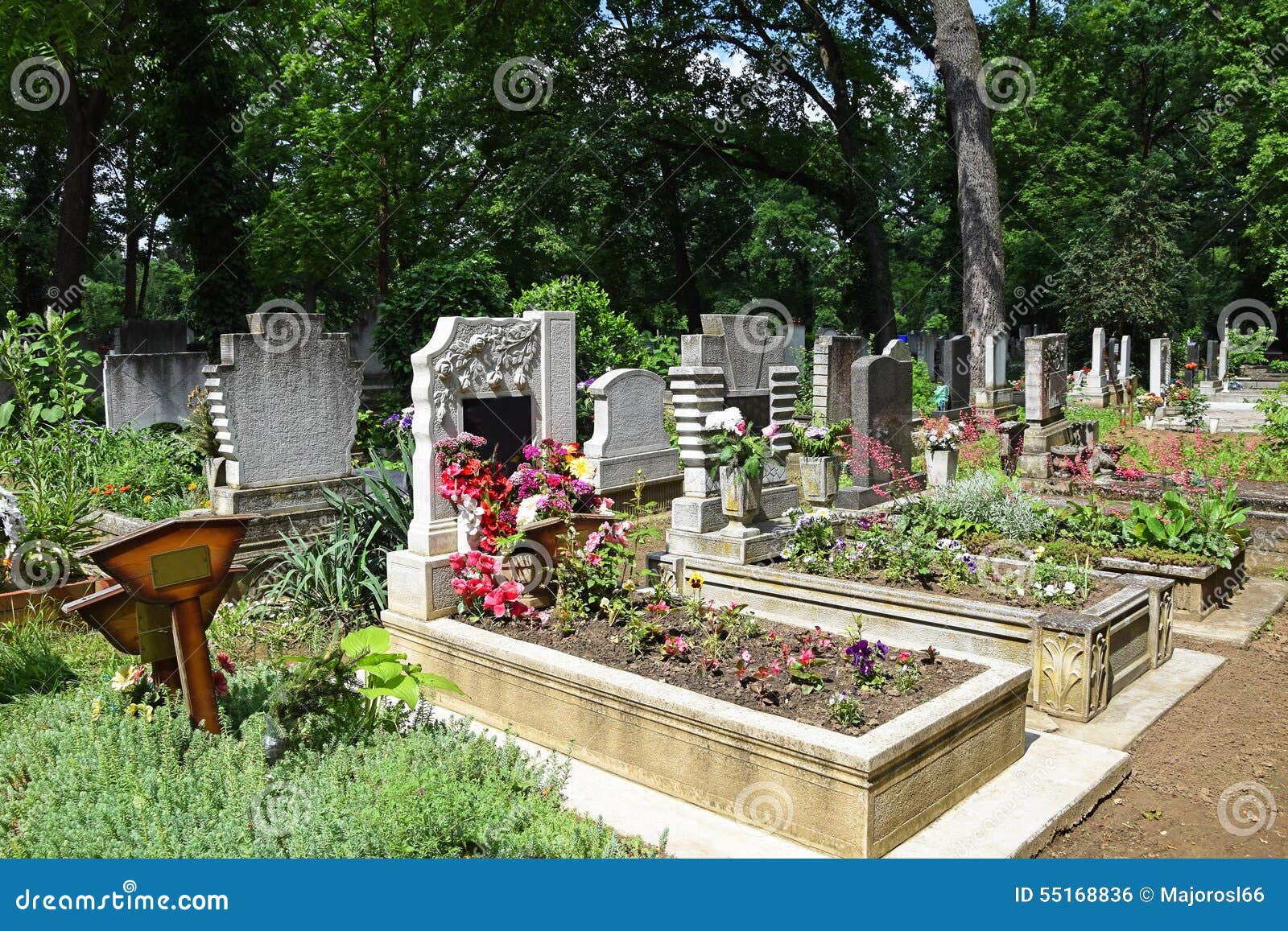 Tombstones in the cemetery stock photo. Image of cemetery 55168836