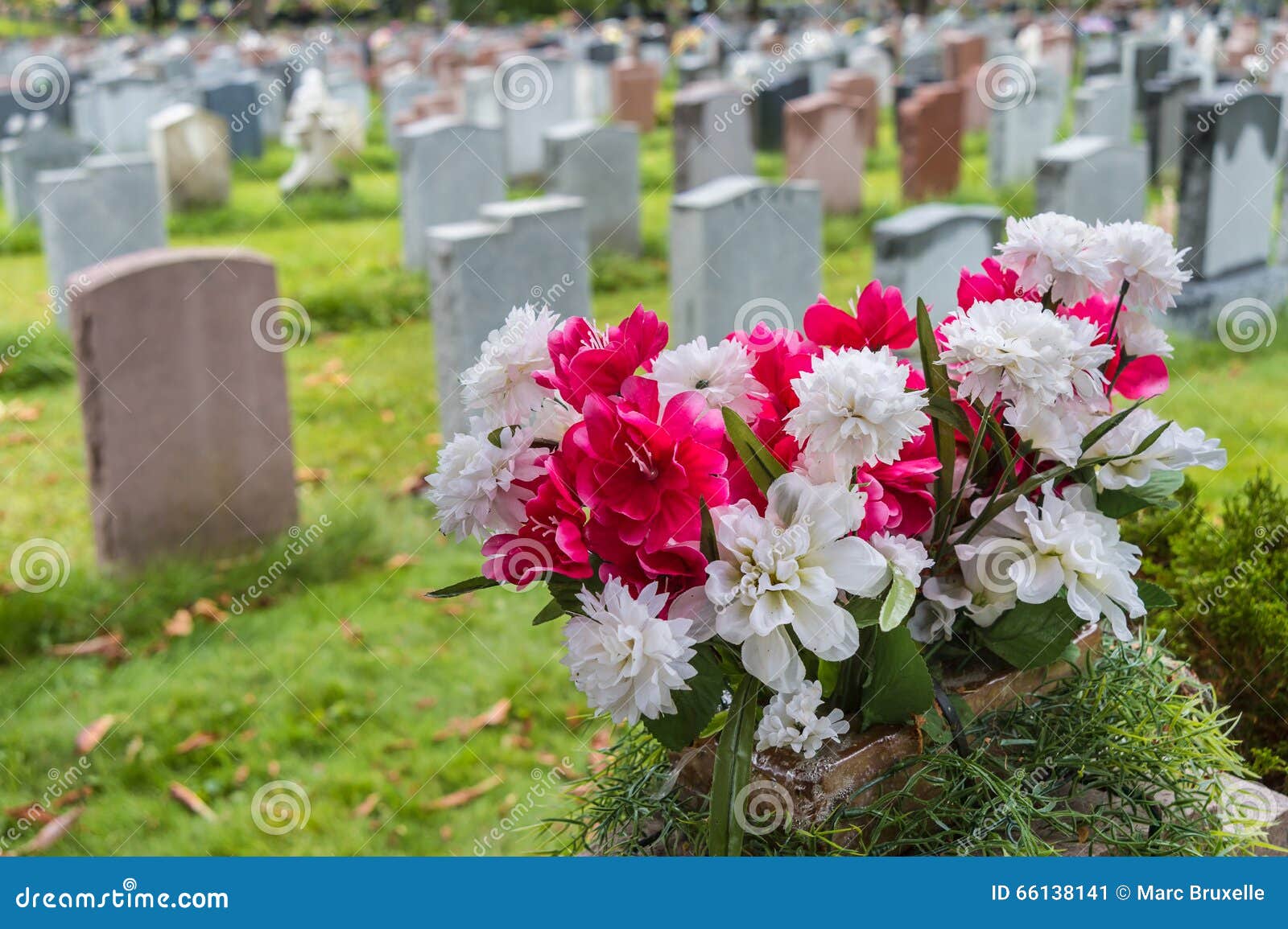 Tombstones on a Graveyard in Fall with Flowers Stock Image Image of
