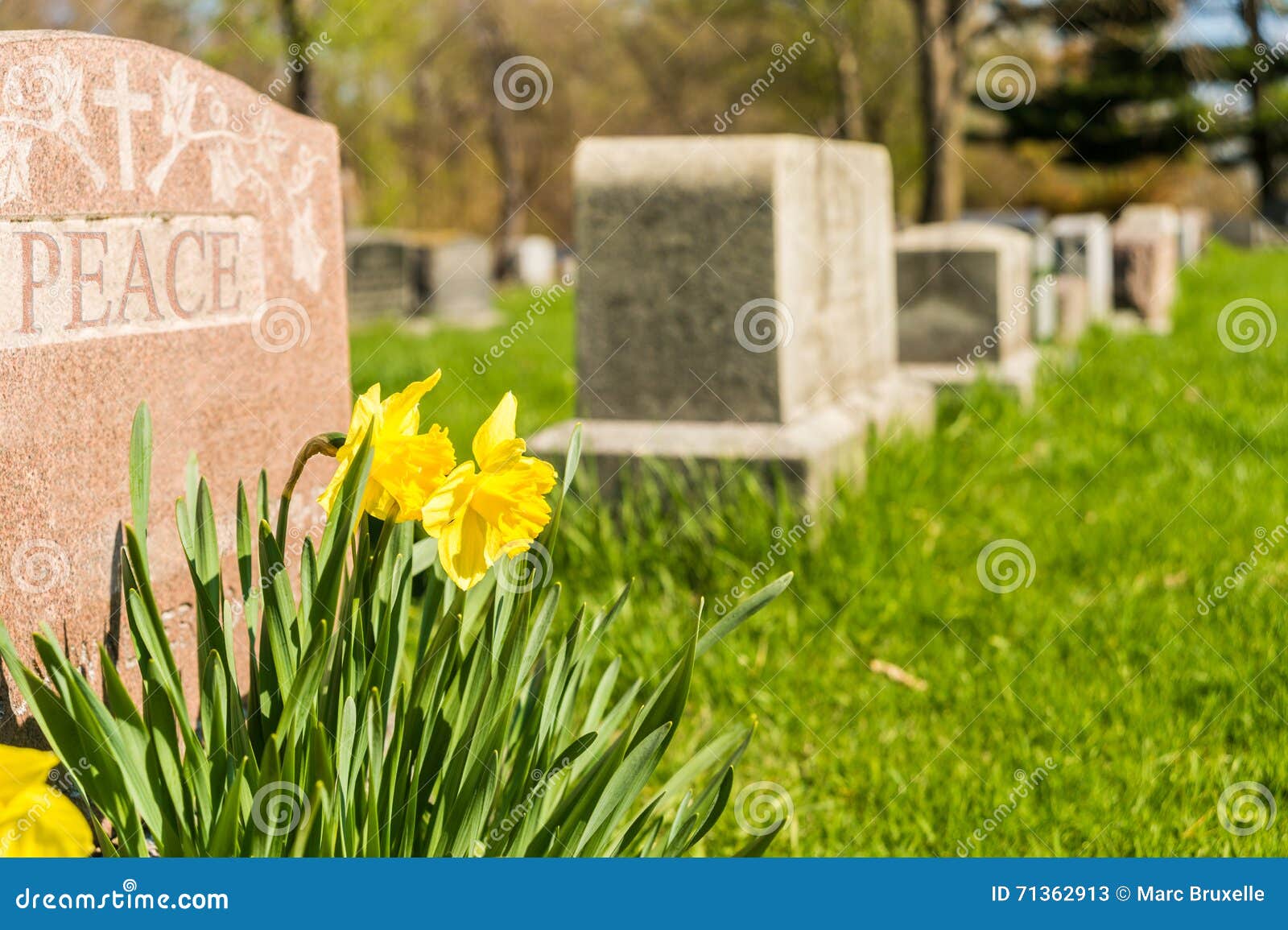 tombstones in montreal cemetery