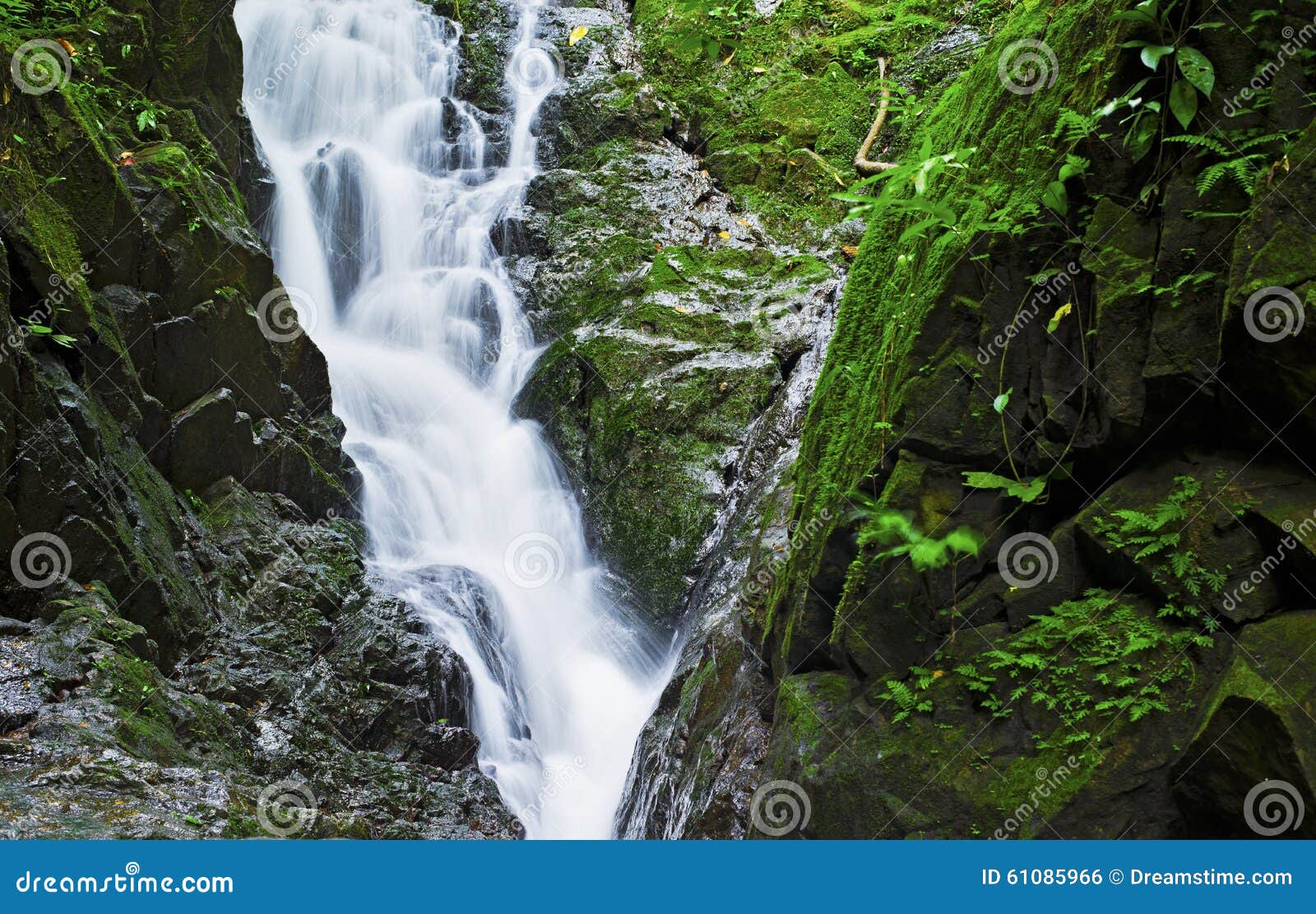 Sai Waterfall photo. of pisgah - 61085966