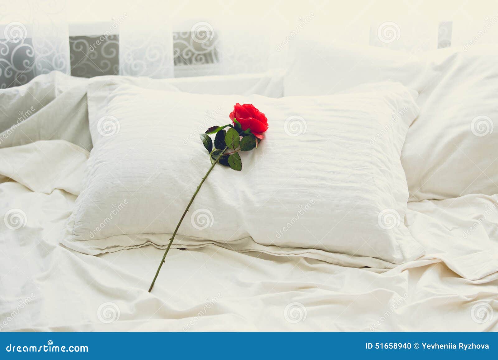 Toned Shot Of Red Rose Lying On Bed At Morning Stock Photo - Image of