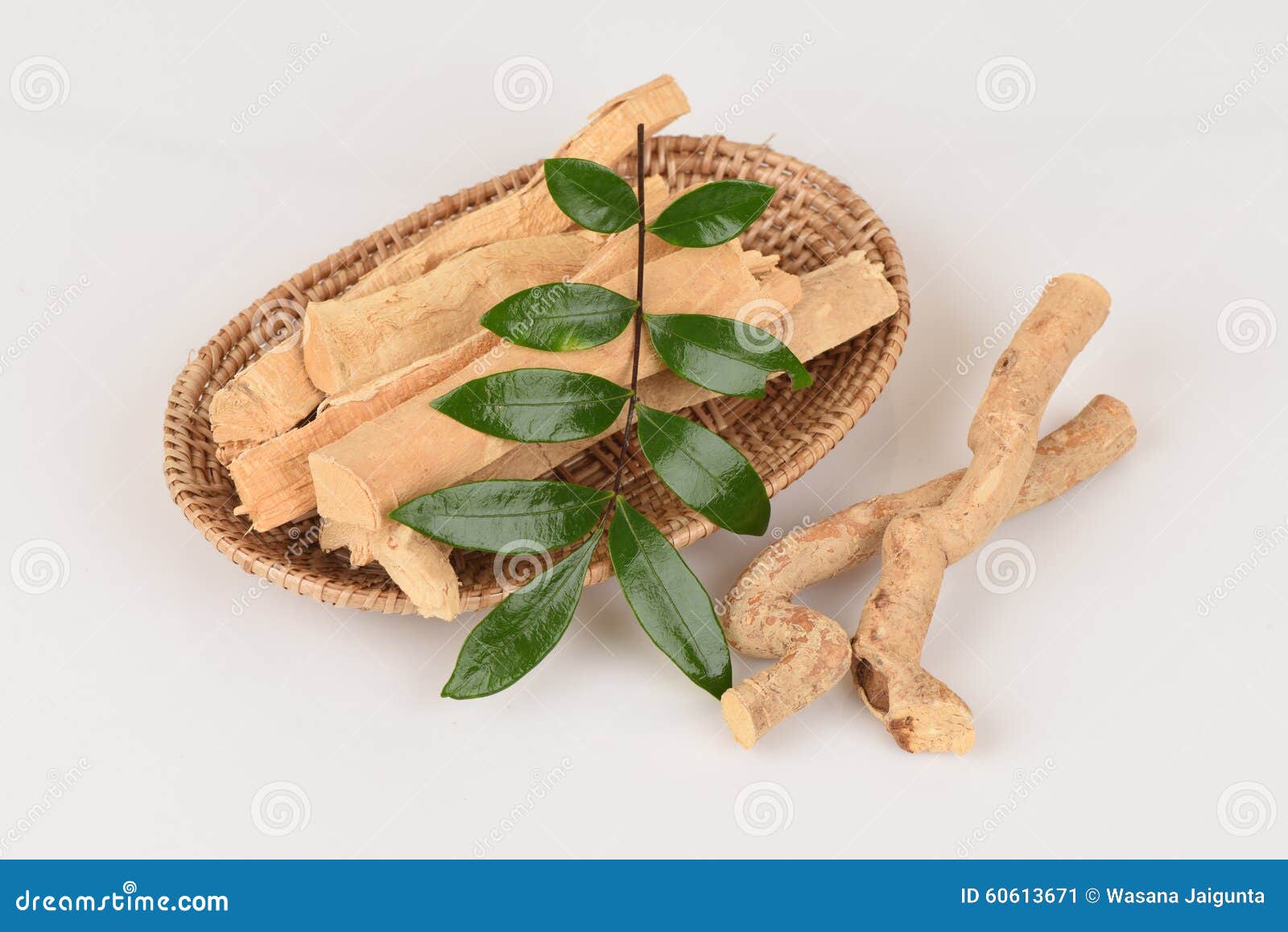 Tongkat Ali Longifolia Jack) Stock Image Image of