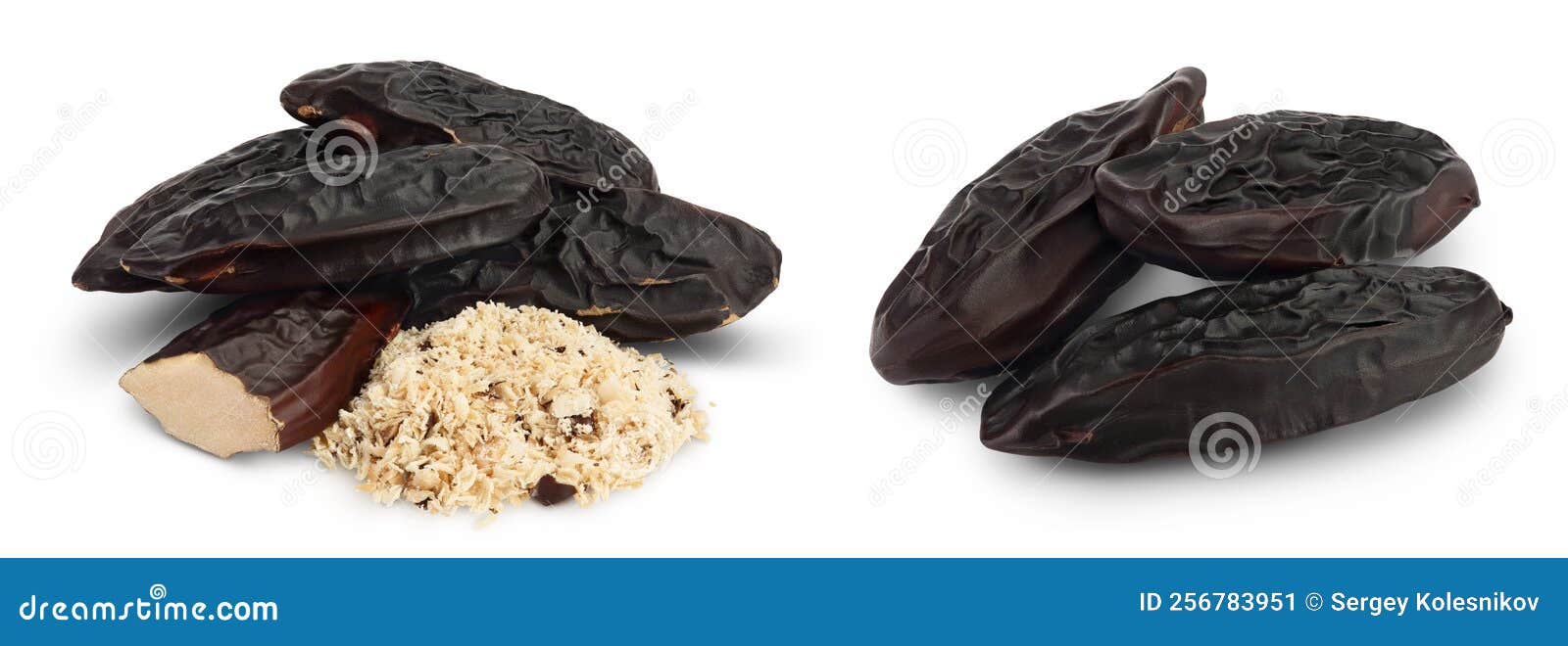 tonka bean  on white background with full depth of field. bean of dipteryx odorata