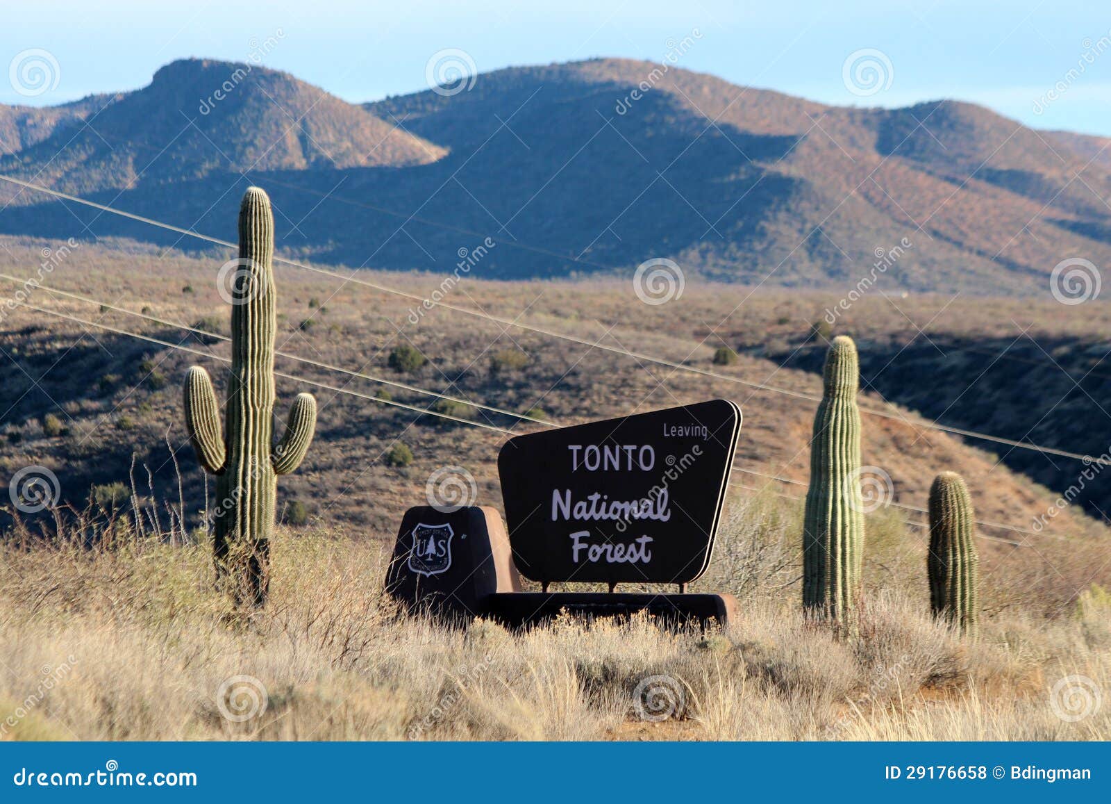 Tonto National Forest, Arizona Editorial Stock Photo Image of forest