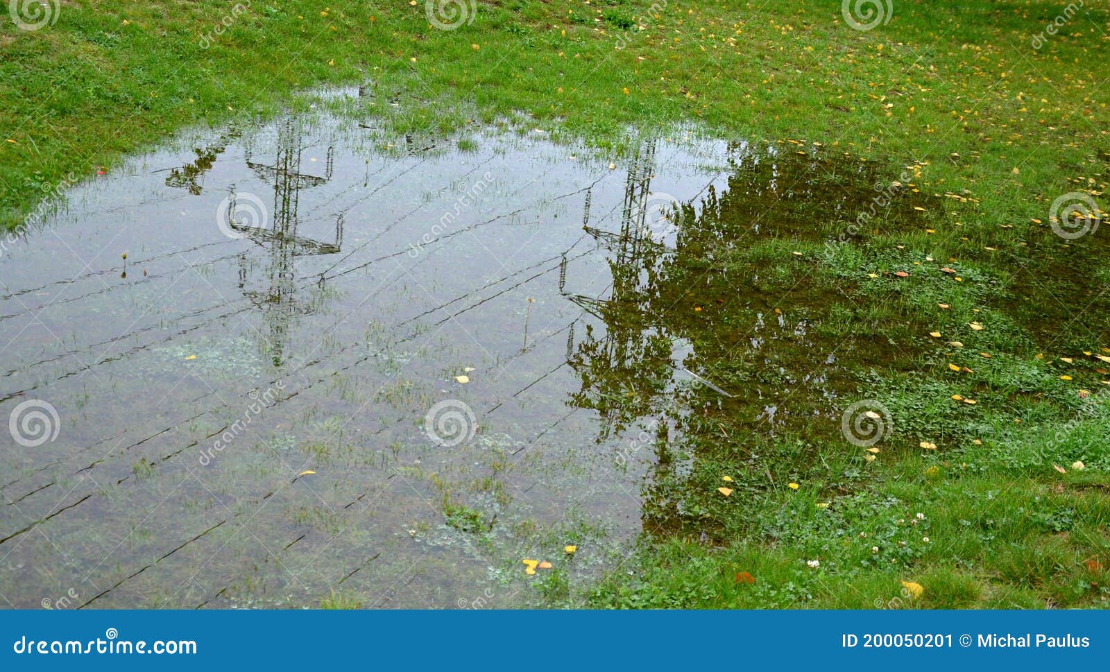 too compact and impermeable soil does not absorb water during rains and floods. a lake was created in the park in the lawn, which