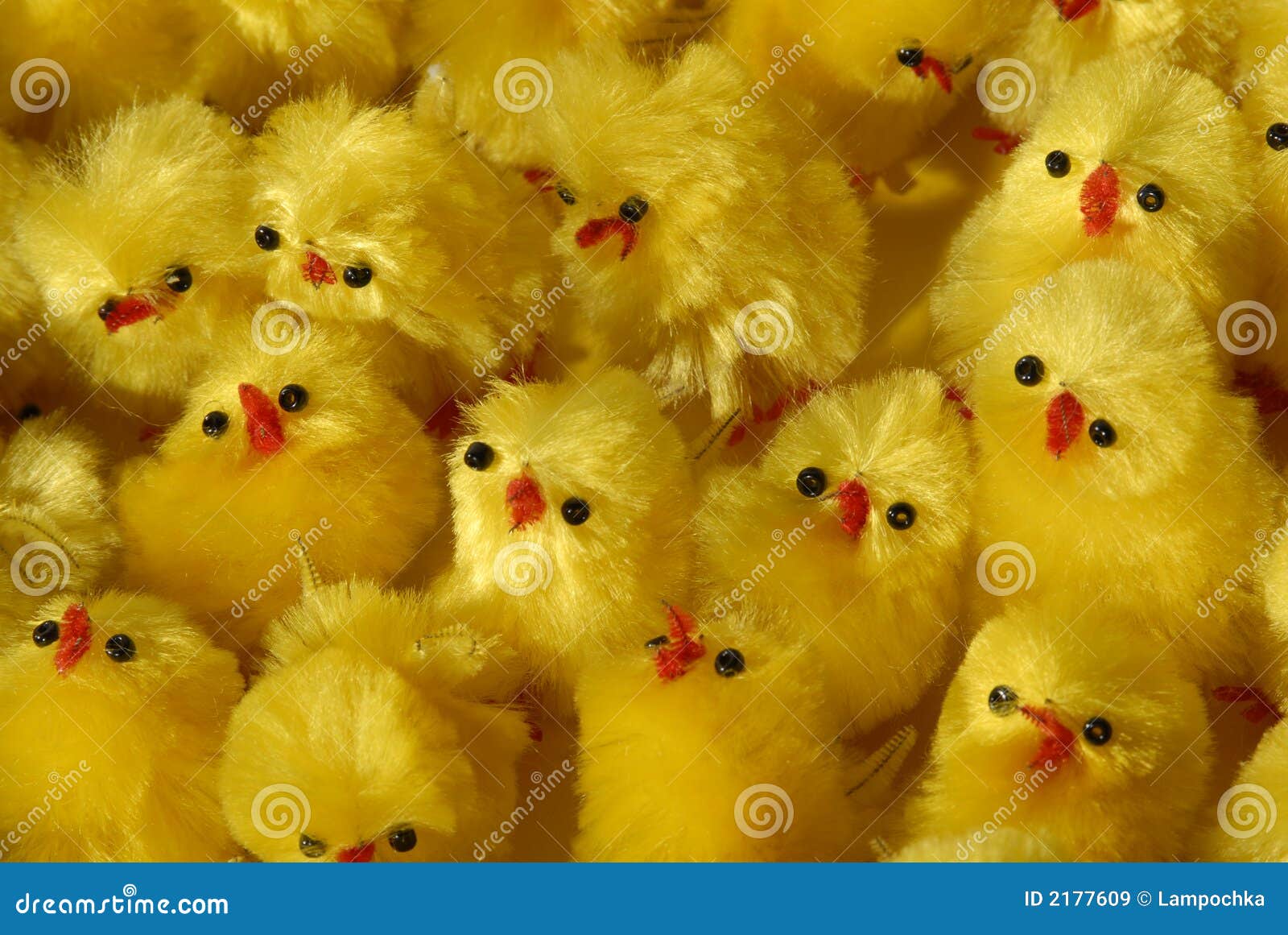 Too Much Chicks Stock Image Image Of Easter Nest Life 2177609