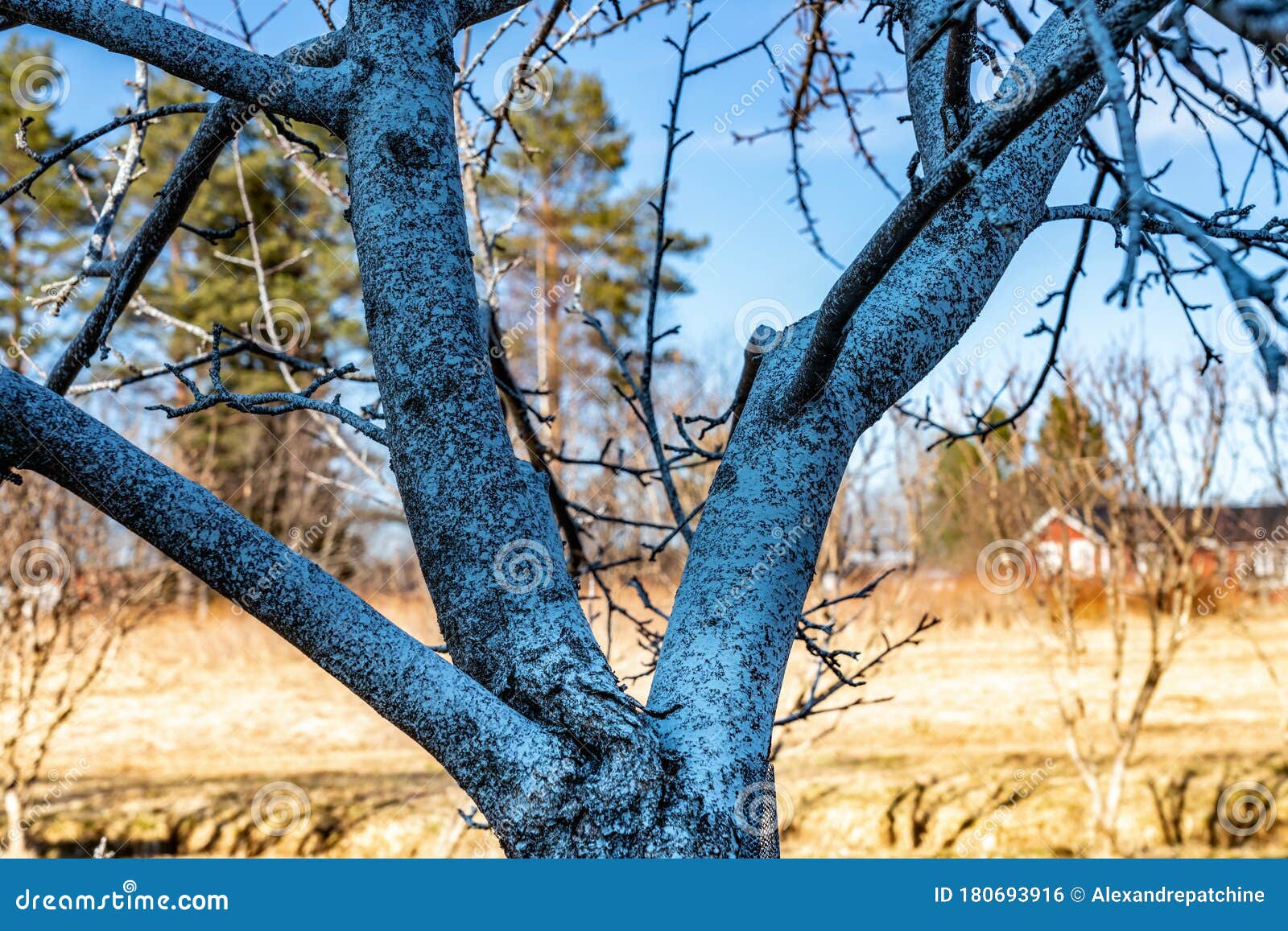 Rust tree leaves фото 18