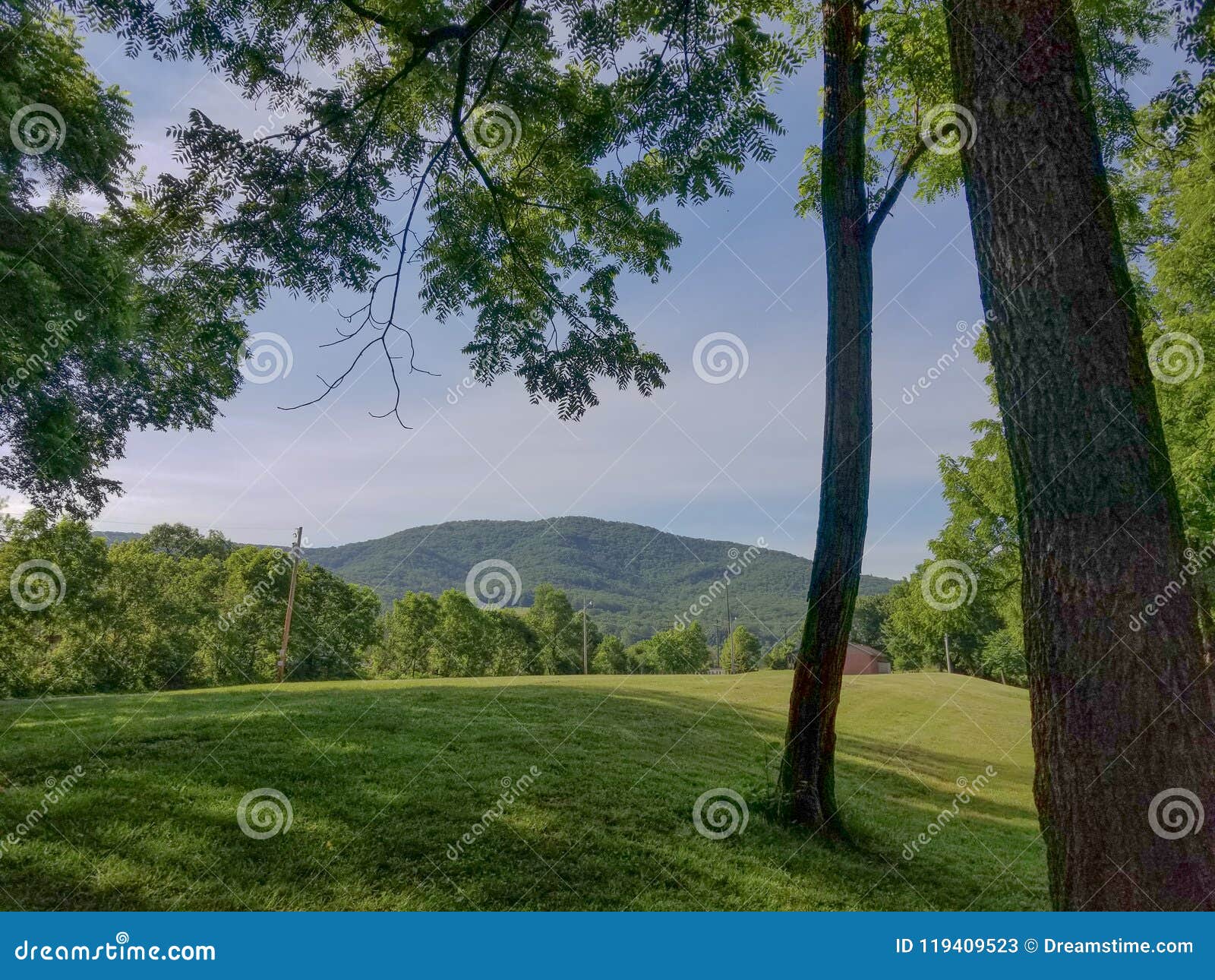 Grassy knoll in field stock image. Image of tree, mountain - 119409523