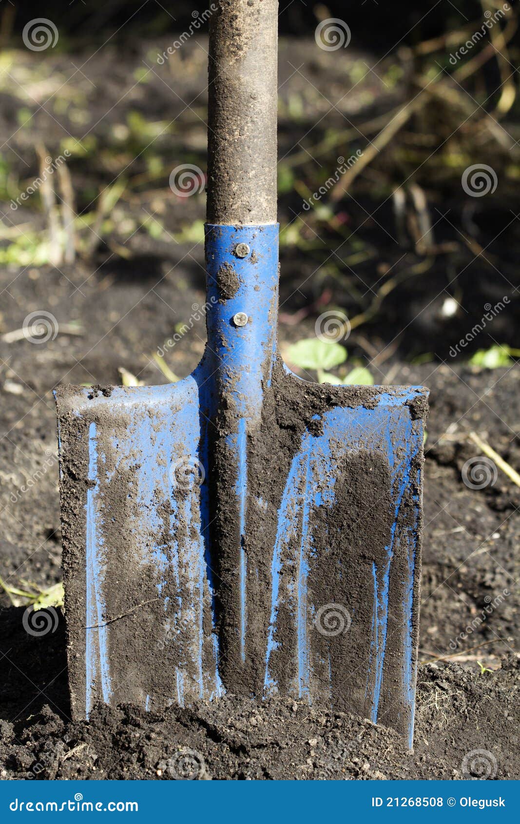 Tool shovel stuck ground stock photo. Image of blade 21268508