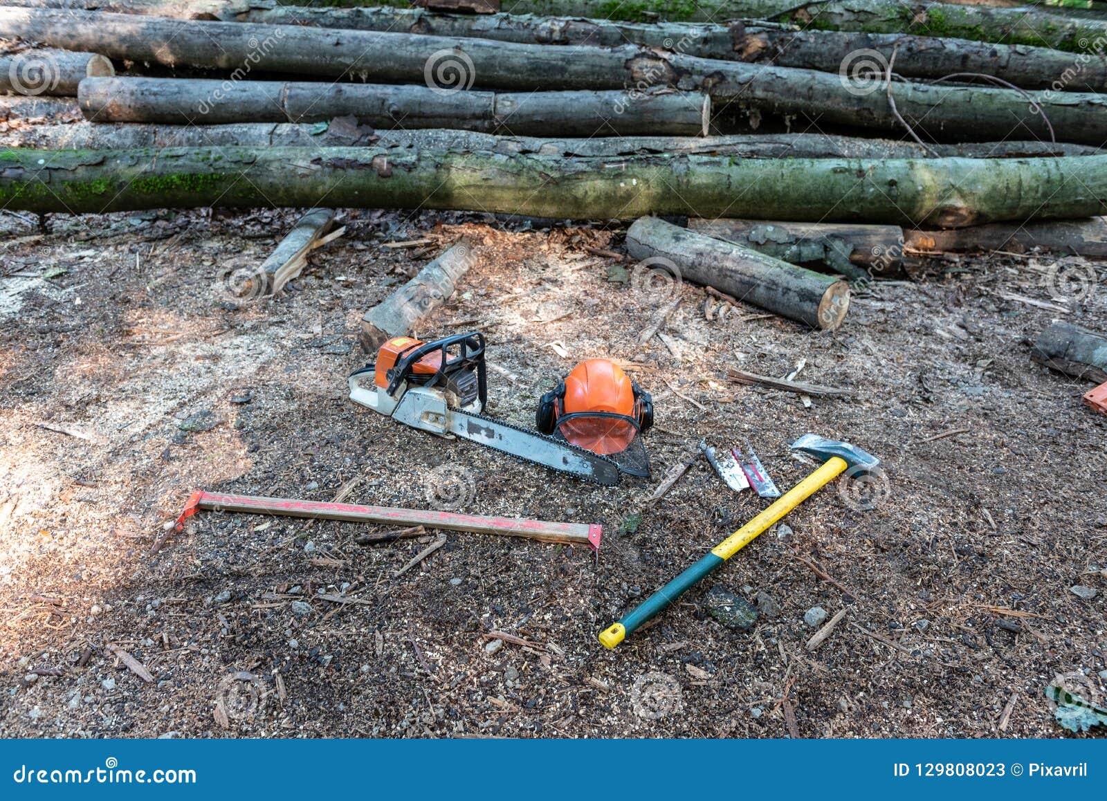 Tools of lumberjack stock image. Image of electric, blade 129808023