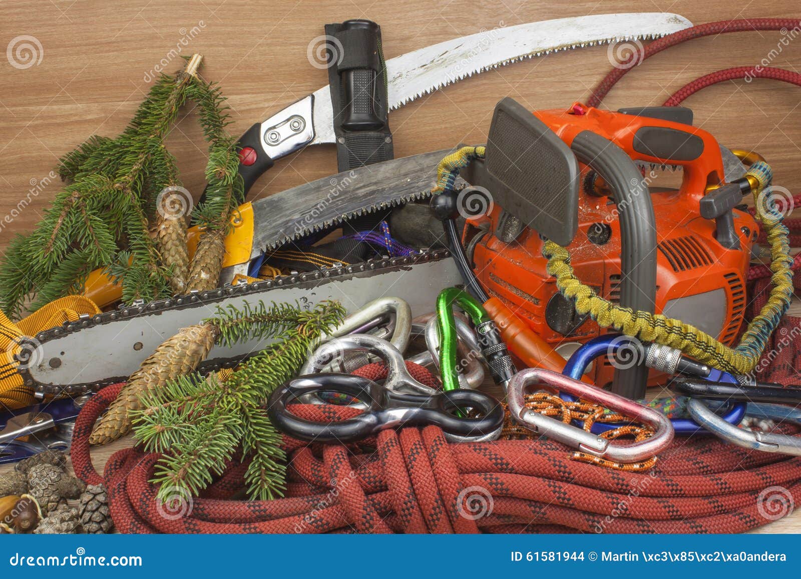 Tools for Trimming Trees, Utility Arborists. Chainsaw, Rope and Carabiners  To Work Lumberjack Stock Photo - Image of forestry, arborist: 61581944